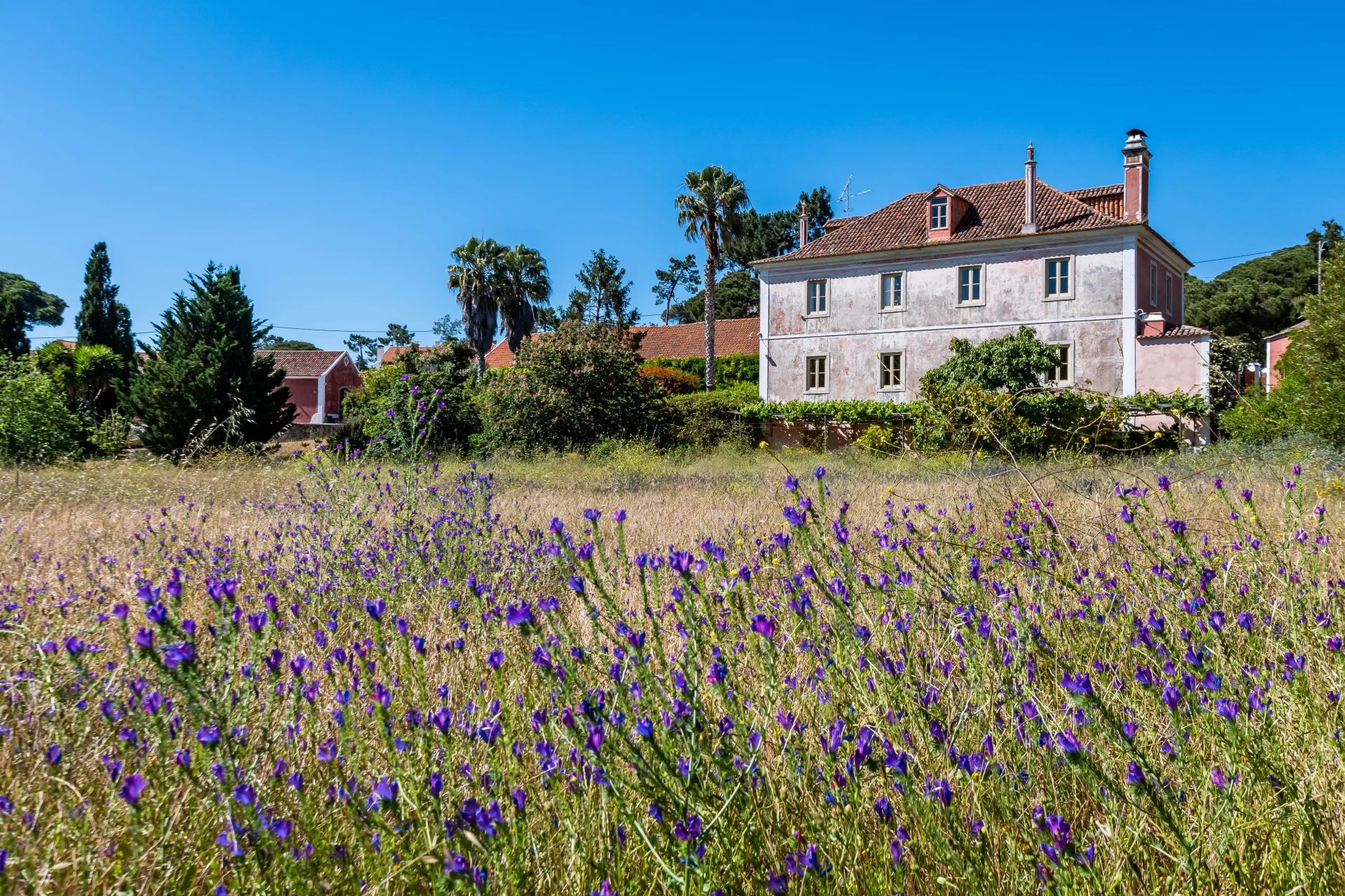 Charmante ferme à Colares - picture 1