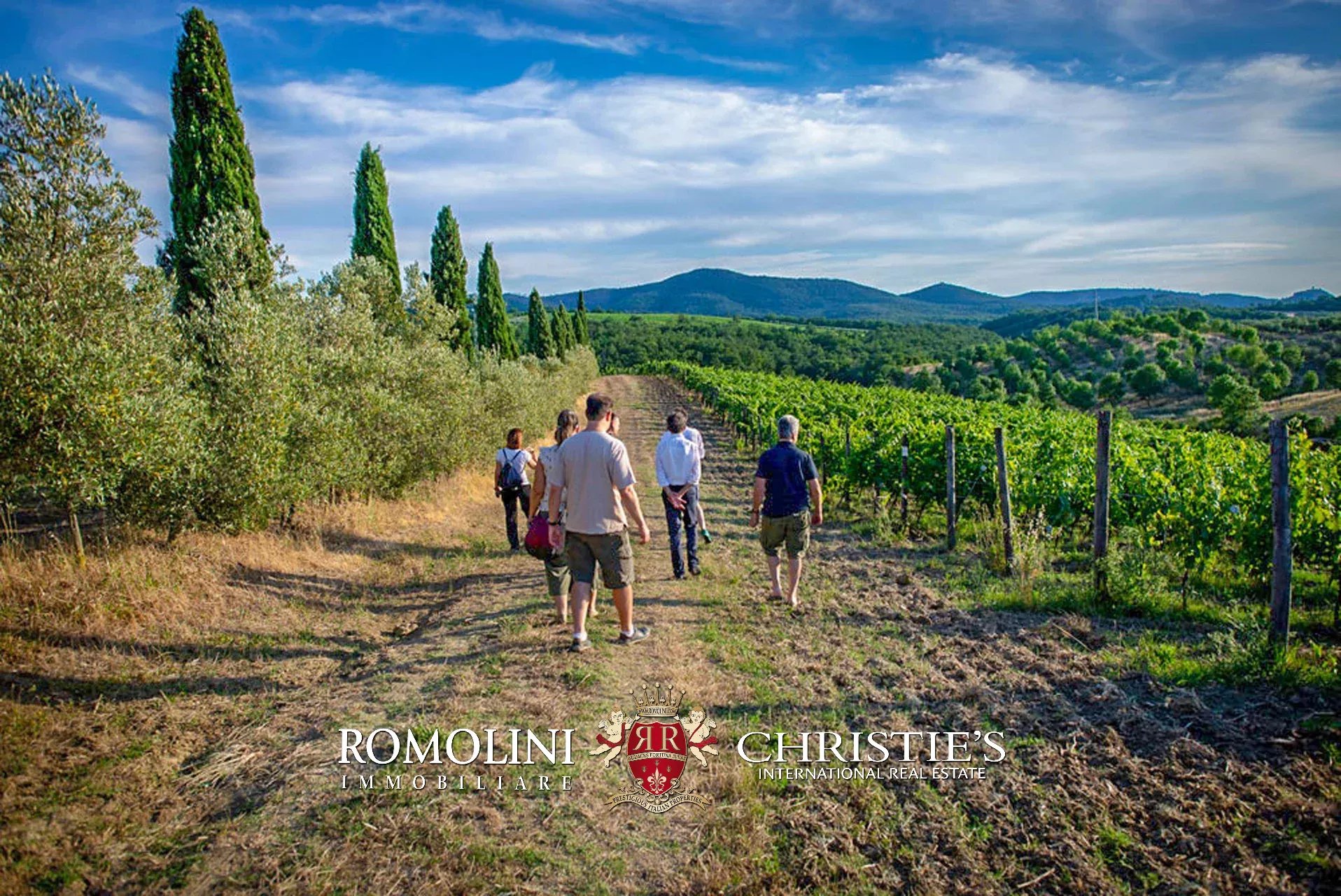 6 Bedroom Vineyard's Image 3