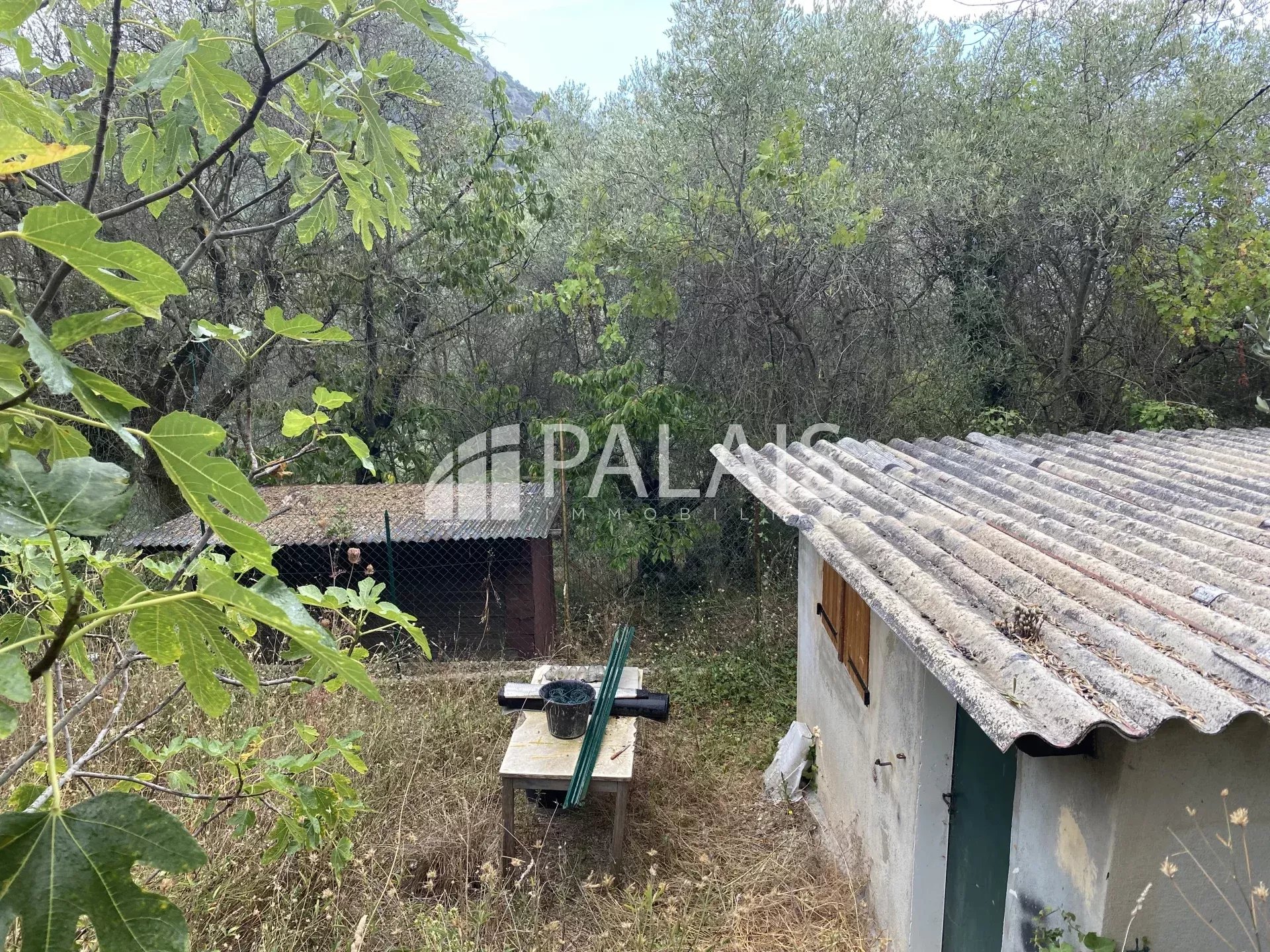 Agence immobilière de Palais Immobilier