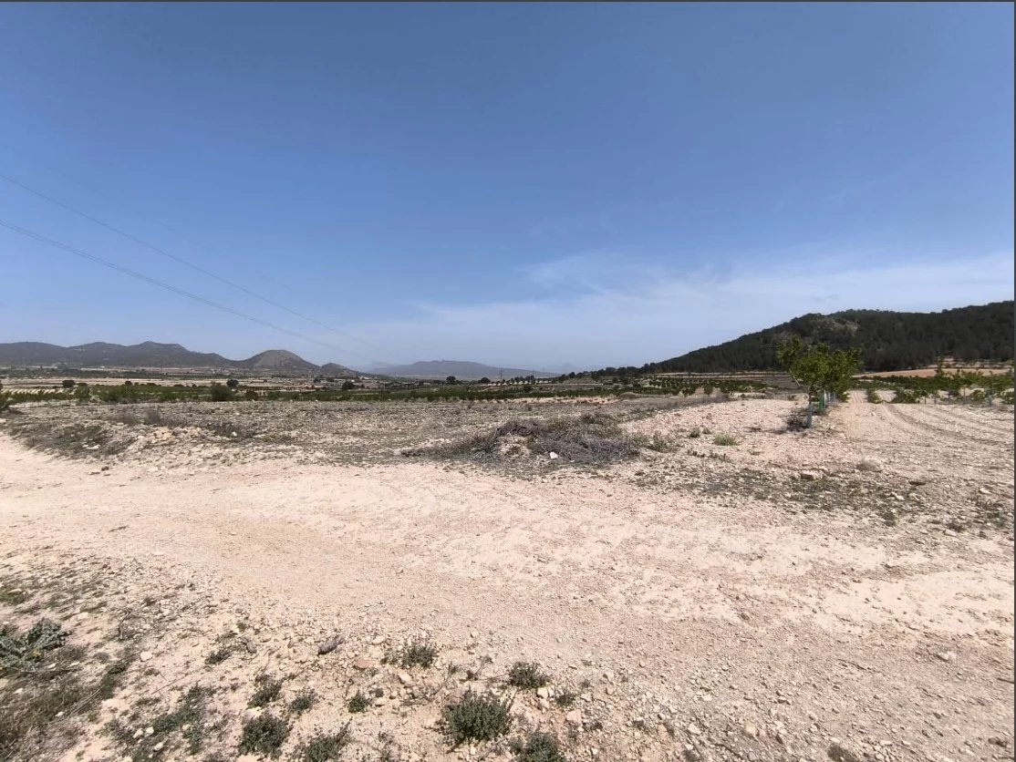Vente Terrain 