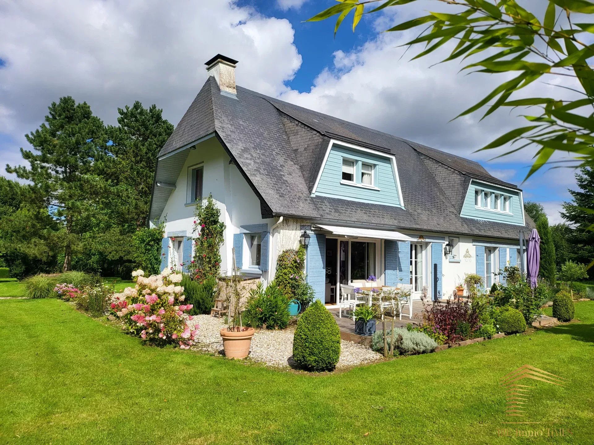 Agence immobilière de The Immo Times