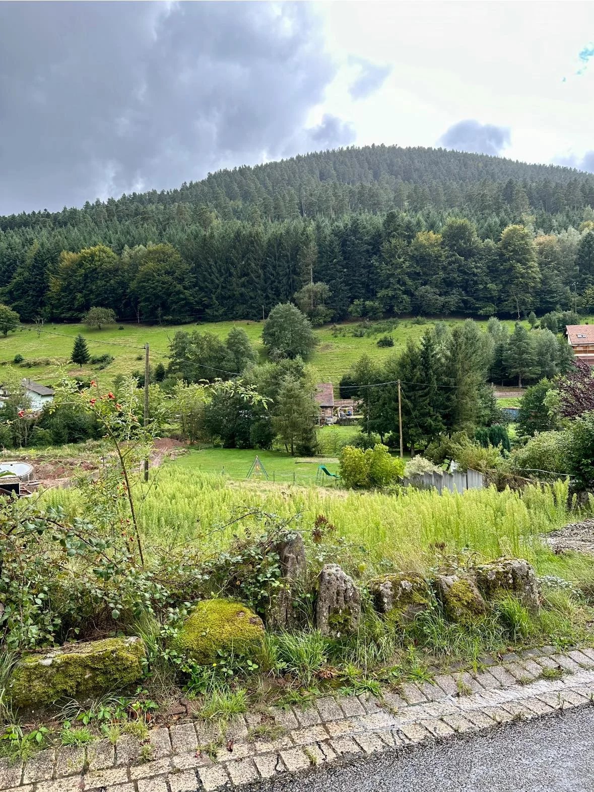 Vente Terrain constructible Wangenbourg-Engenthal