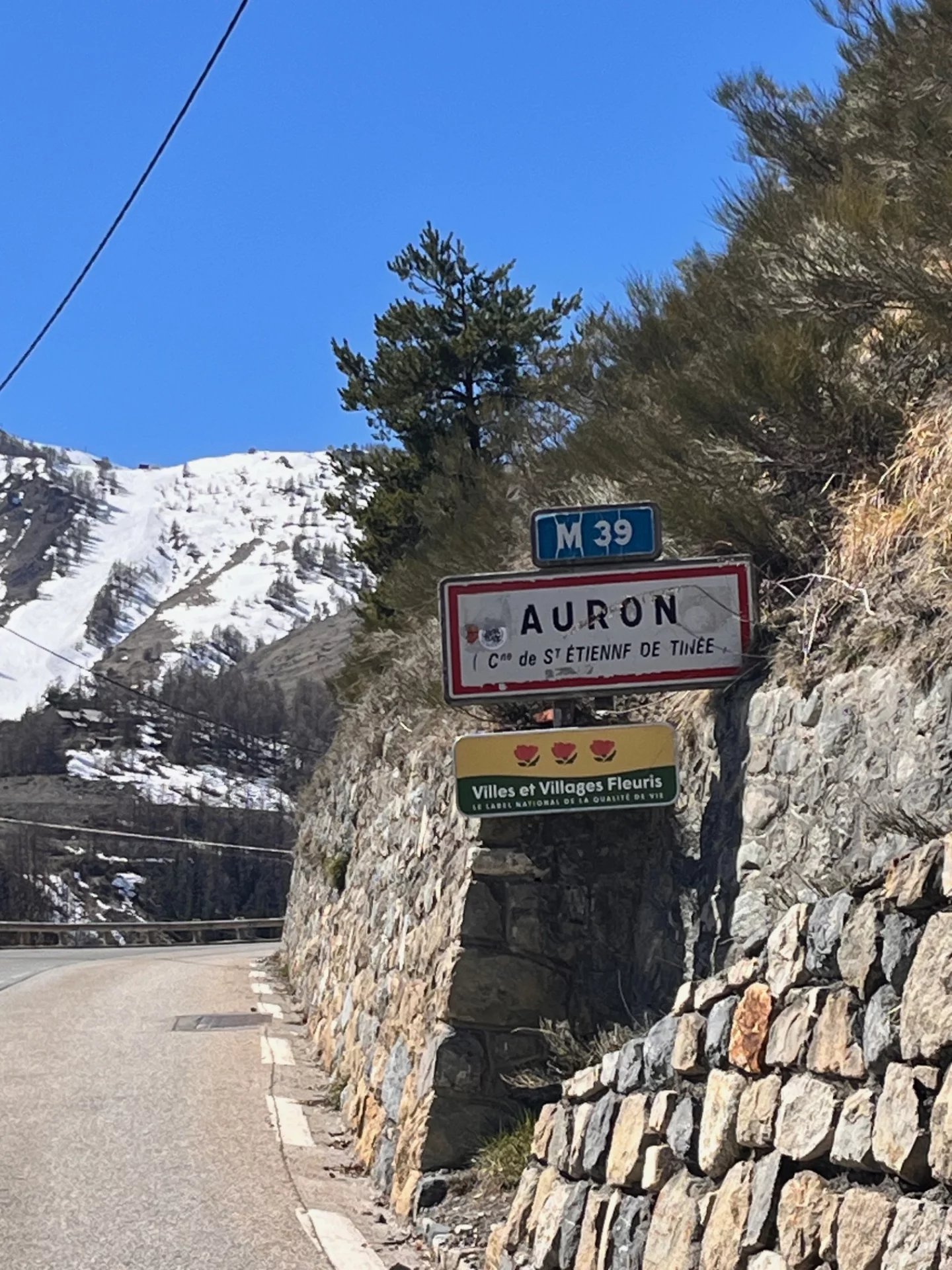 STUDIO AURON