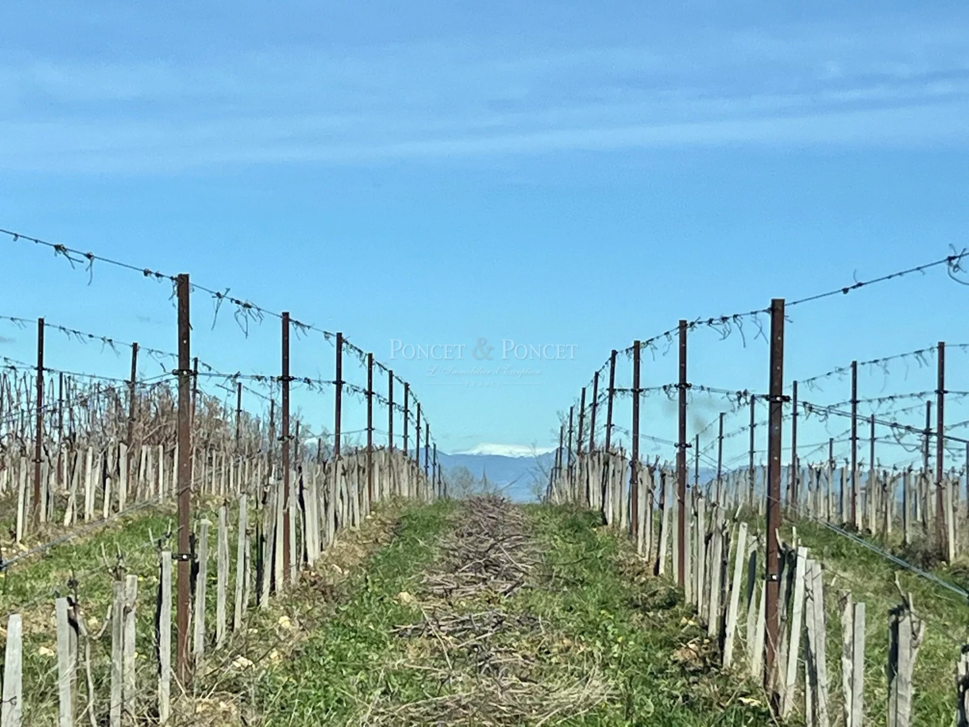 8 Bedroom Vineyard's Image 23