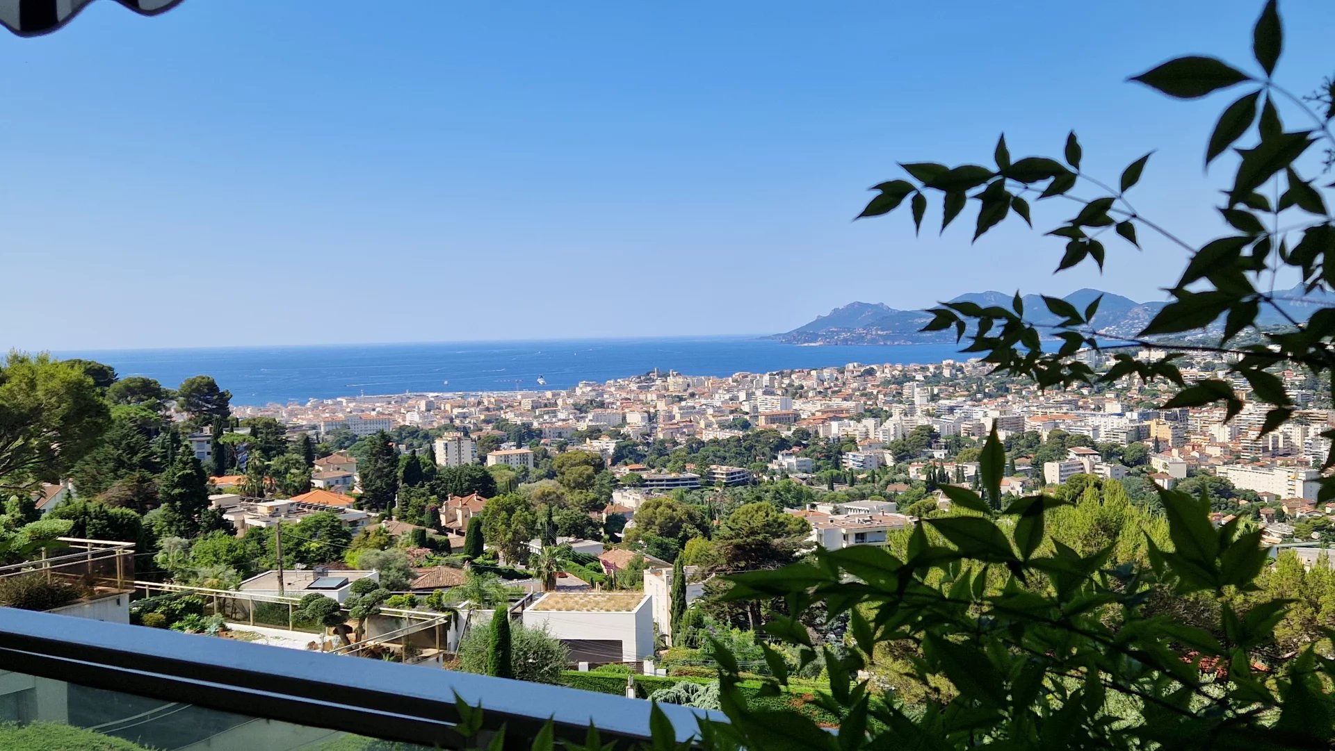 Agence immobilière de J P L