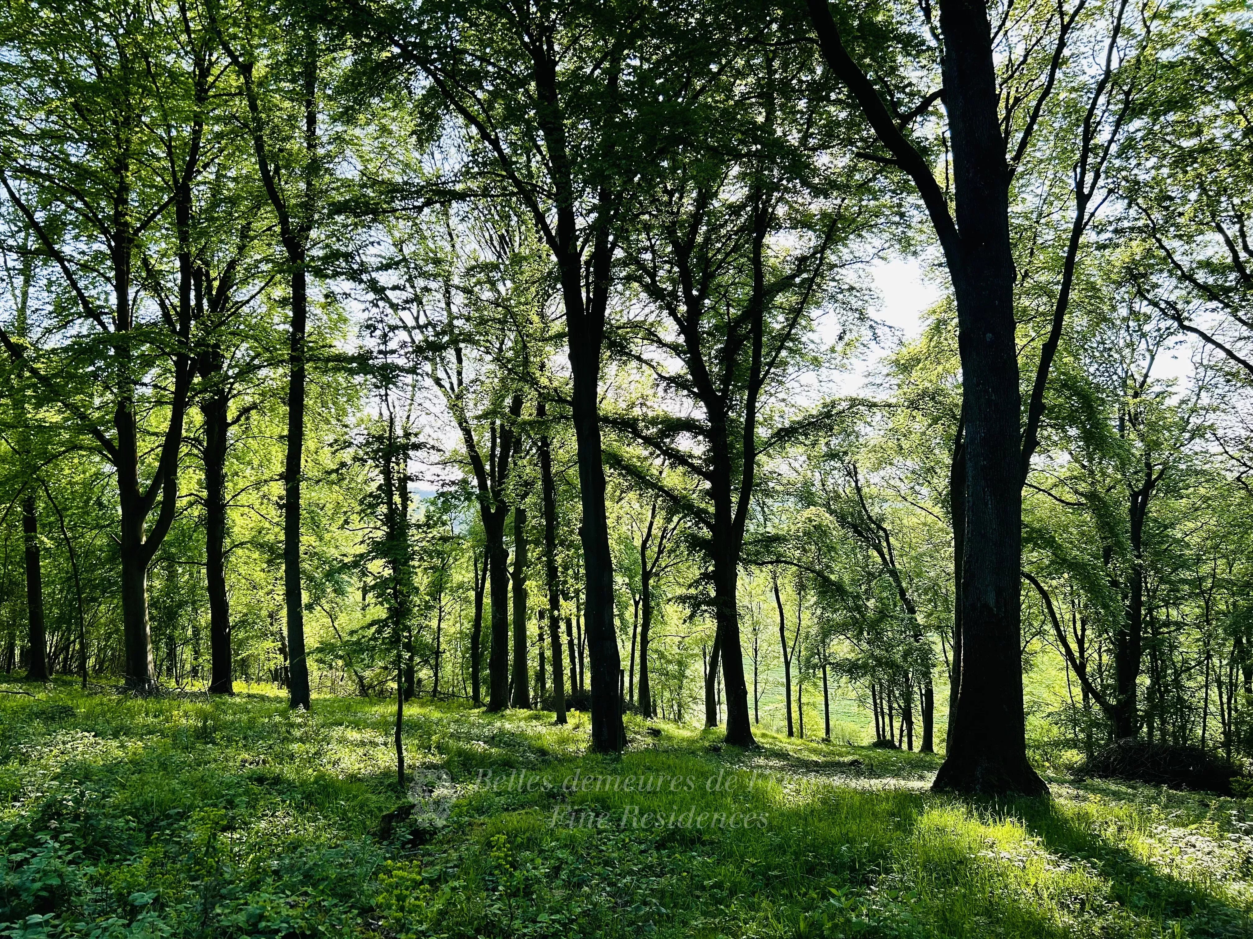 Near Beauvais, in the Oise Normande area – An enclosed 54-hectare forest