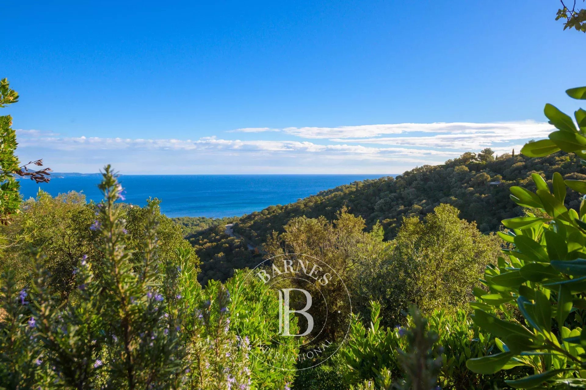 Ev Bormes-les-Mimosas - picture 19