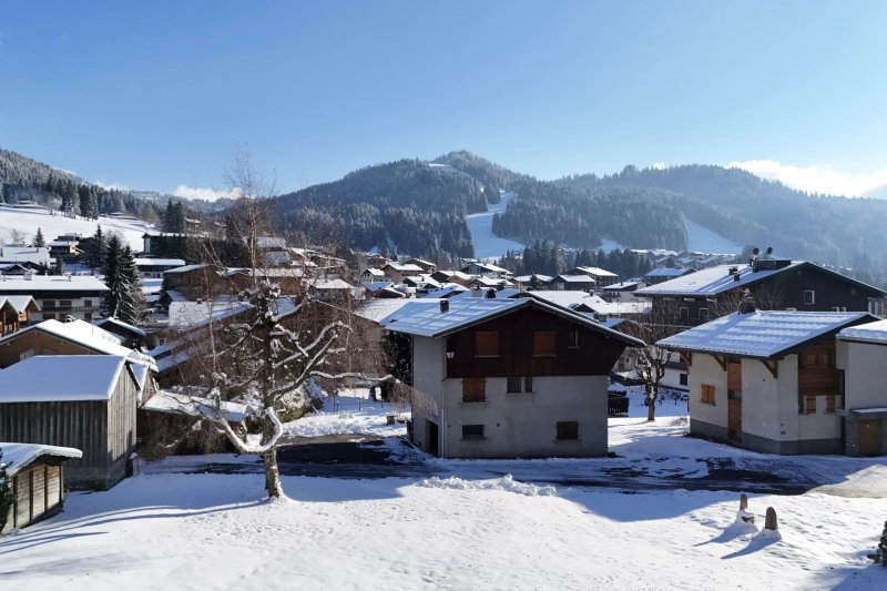 Zu verkaufen Bauland | Les Gets - picture 3