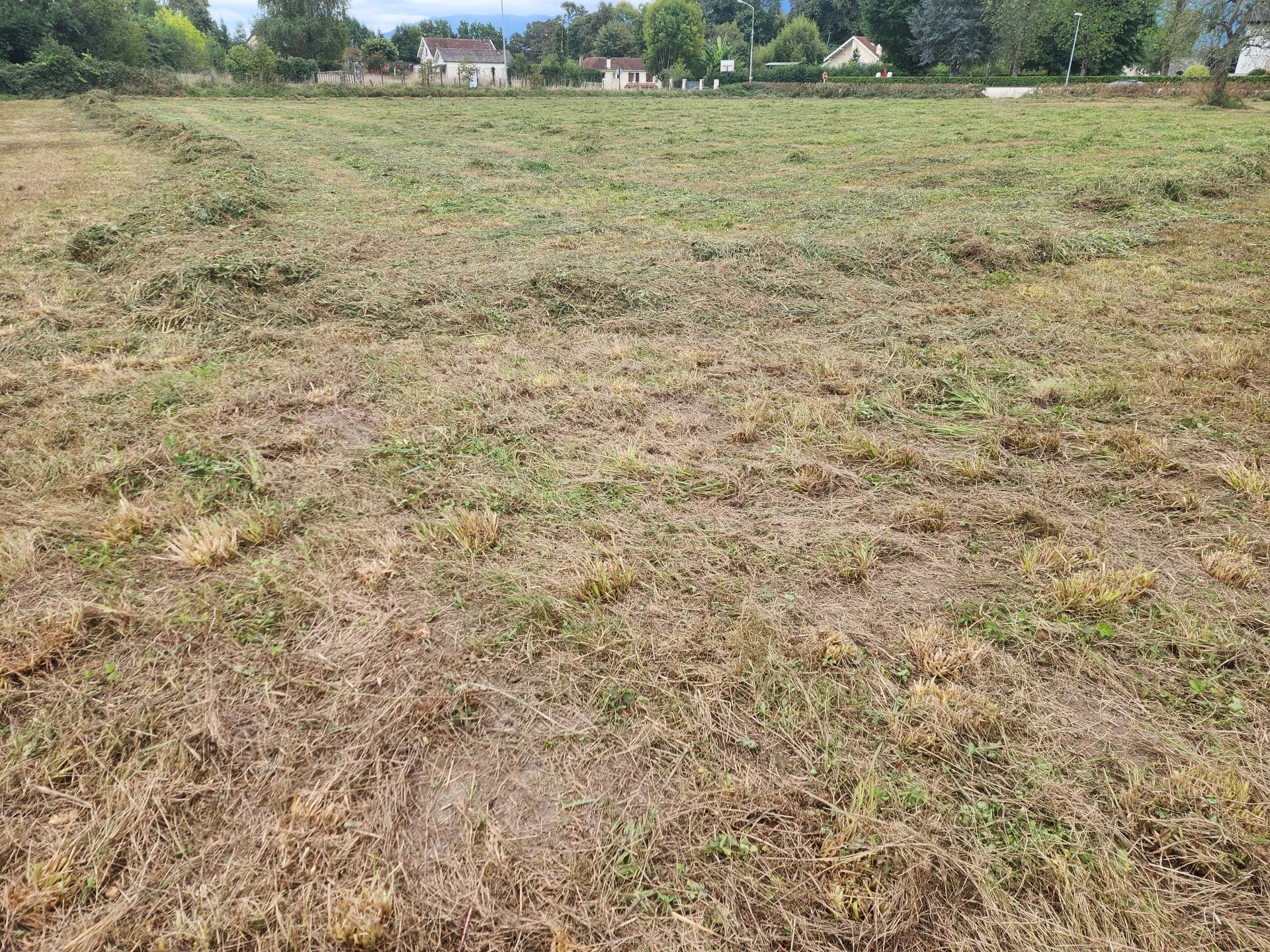 EXCLUSIVITÉ ASSON,  A VENDRE Terrain 1000 m²  à viabiliser