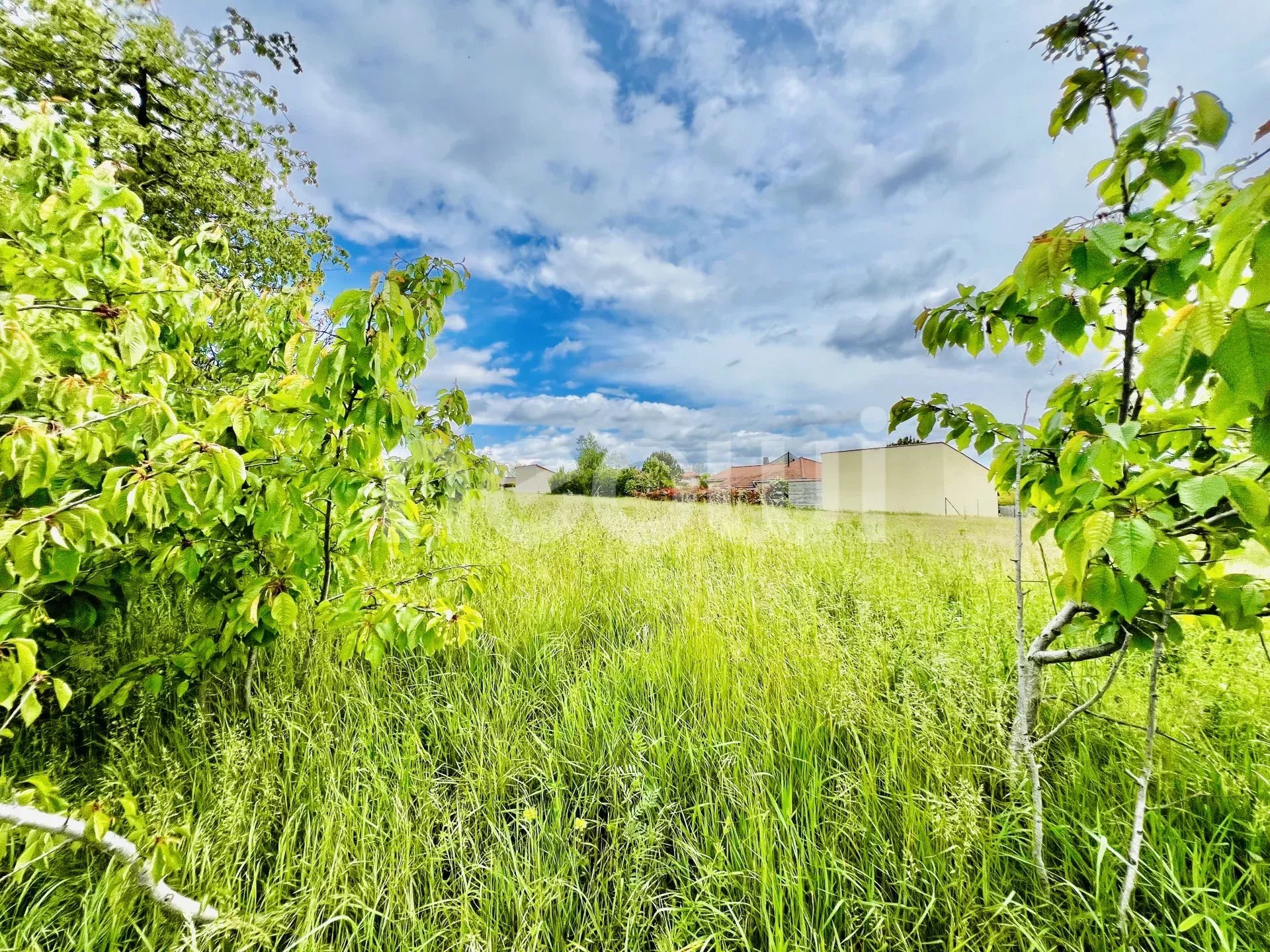 Sale Building land Riom