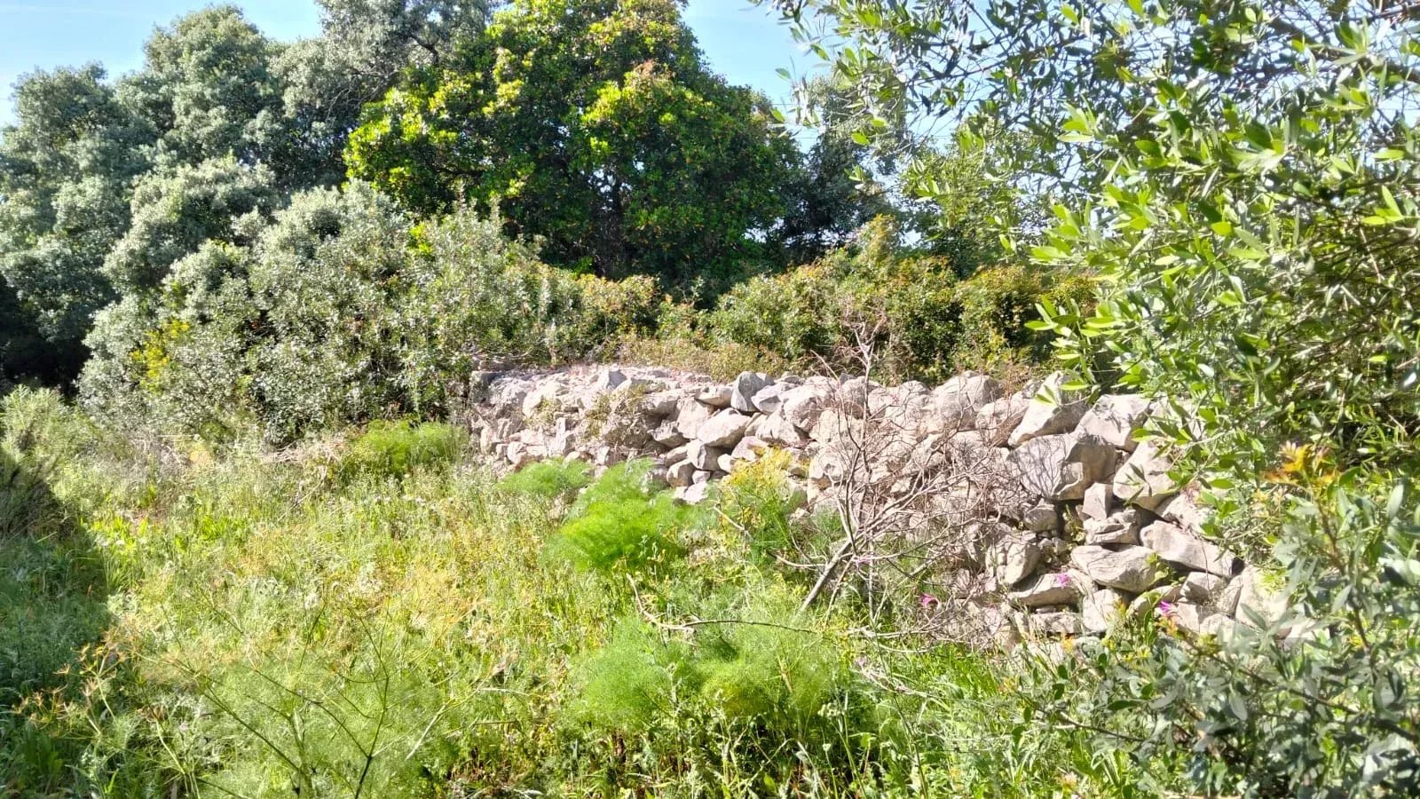1560 m² Non-Constructible Land in Santa Bárbara de Nexe 86947956 image 5