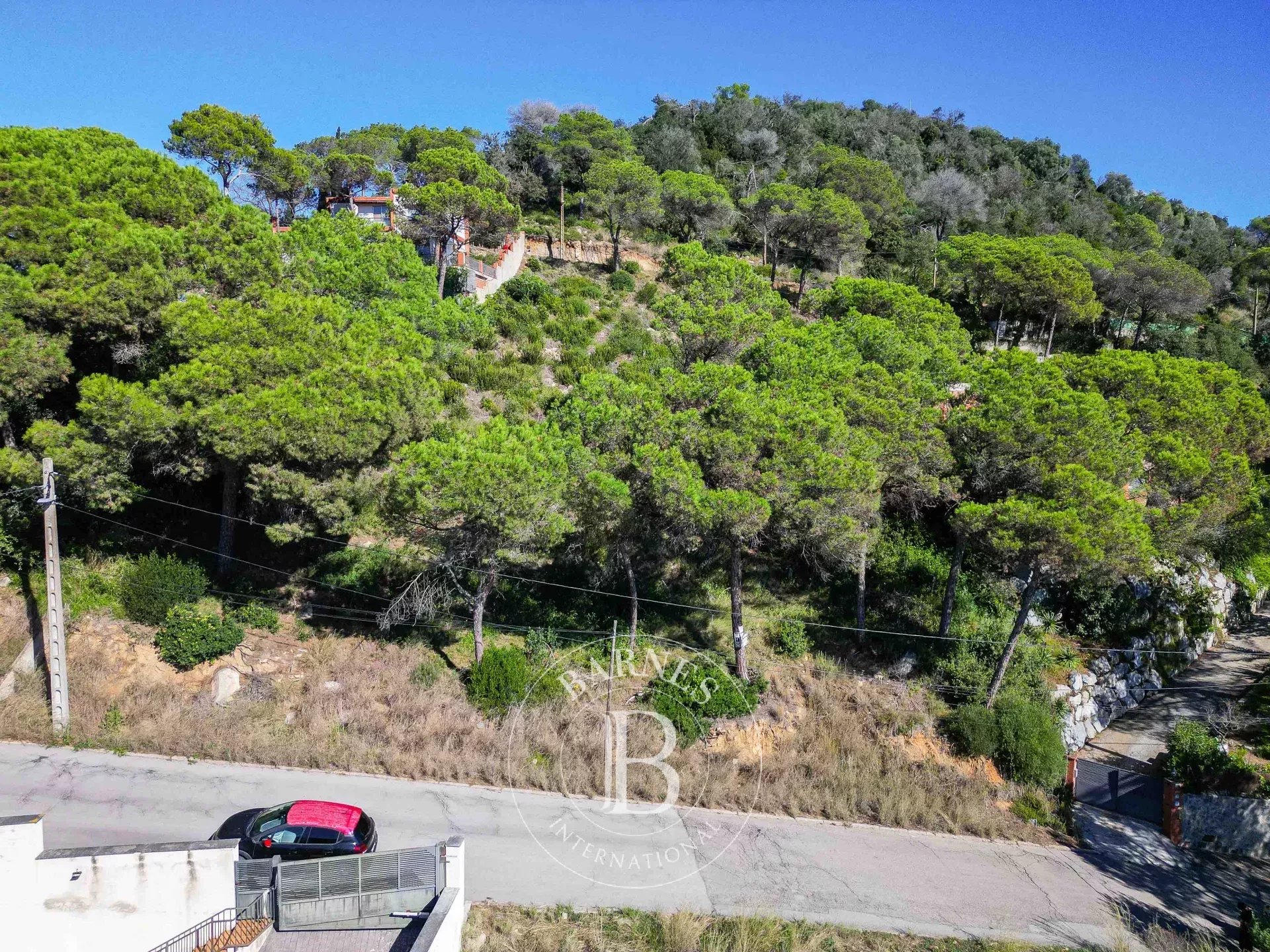 Arazi Dosríus - picture 8