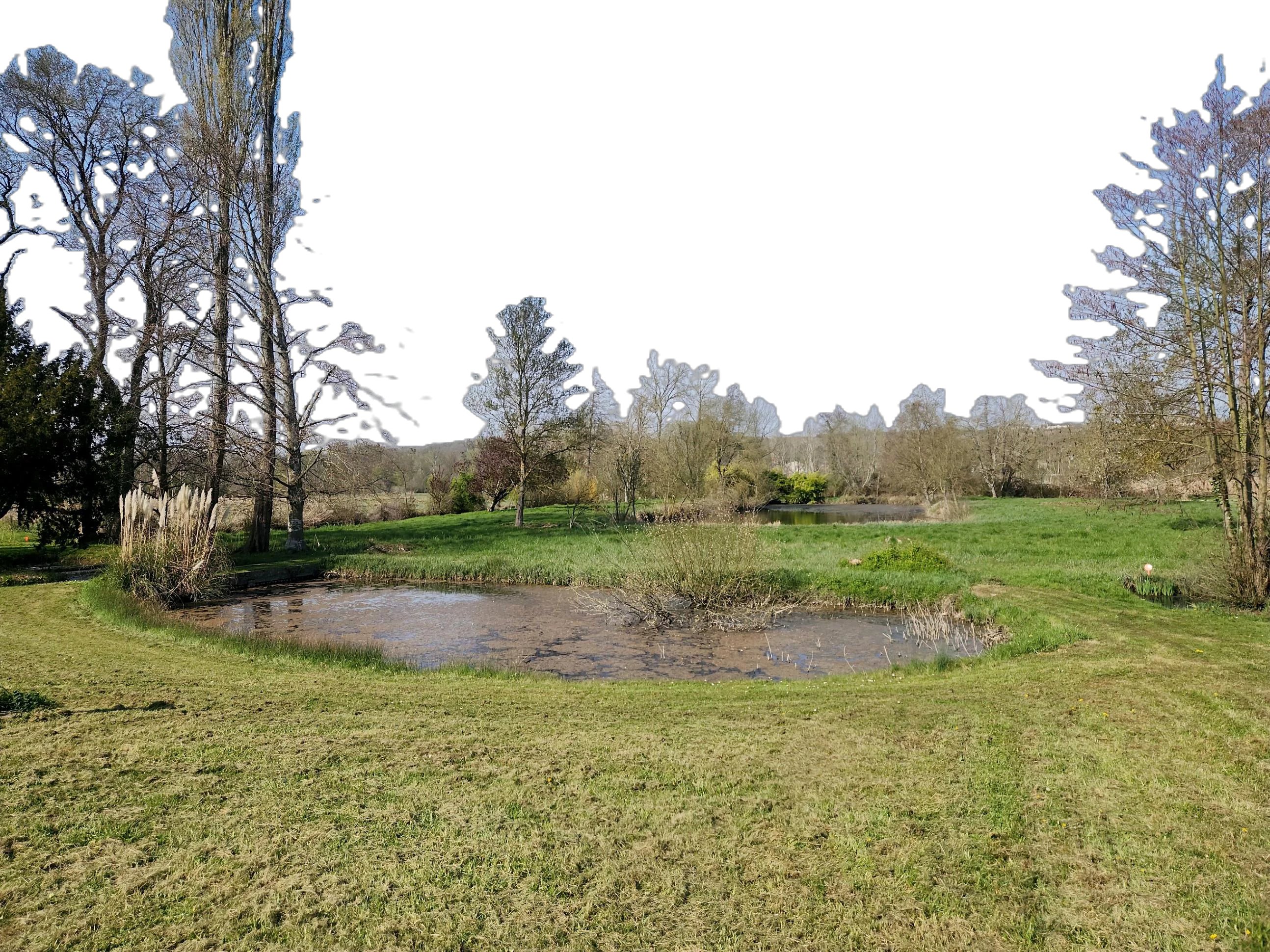 EXCLUSIVITÉ - MAISON CHAPELLE-SAINT-BLAISE — photo 19