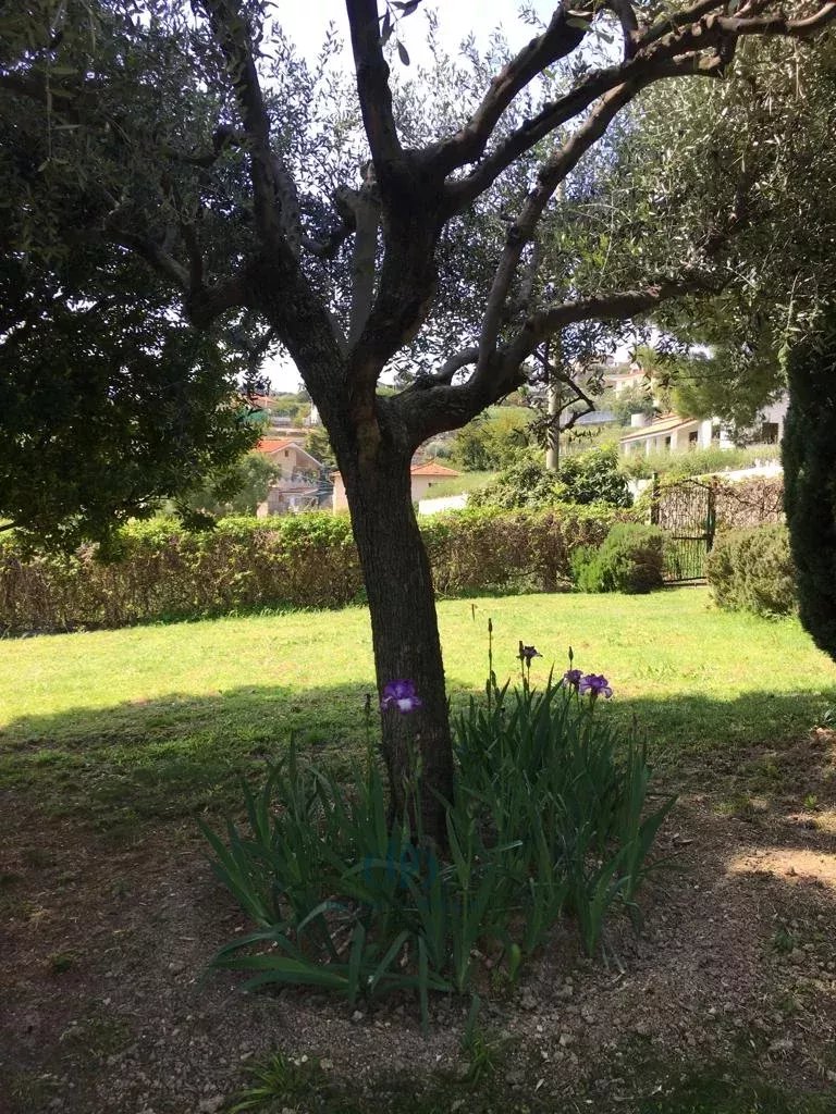 Villa Sanremo - picture 21