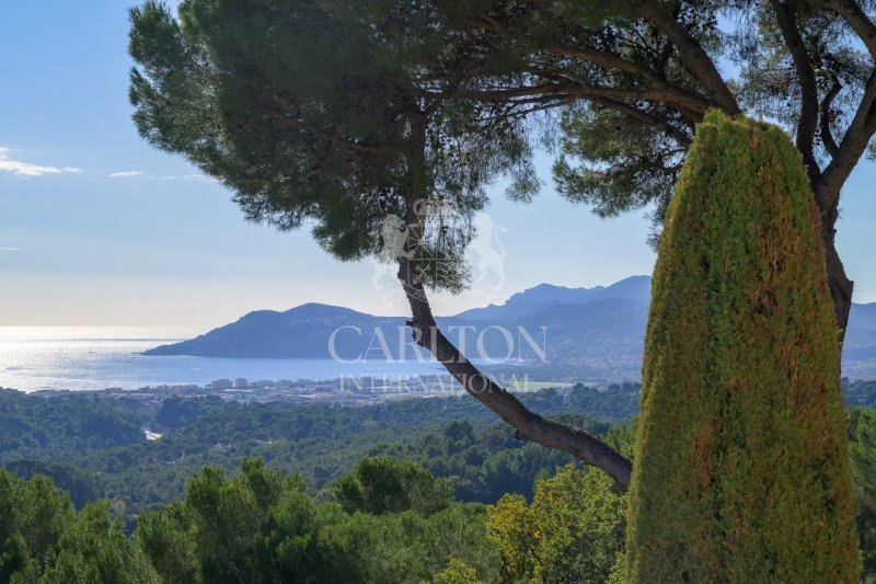 Mougins 