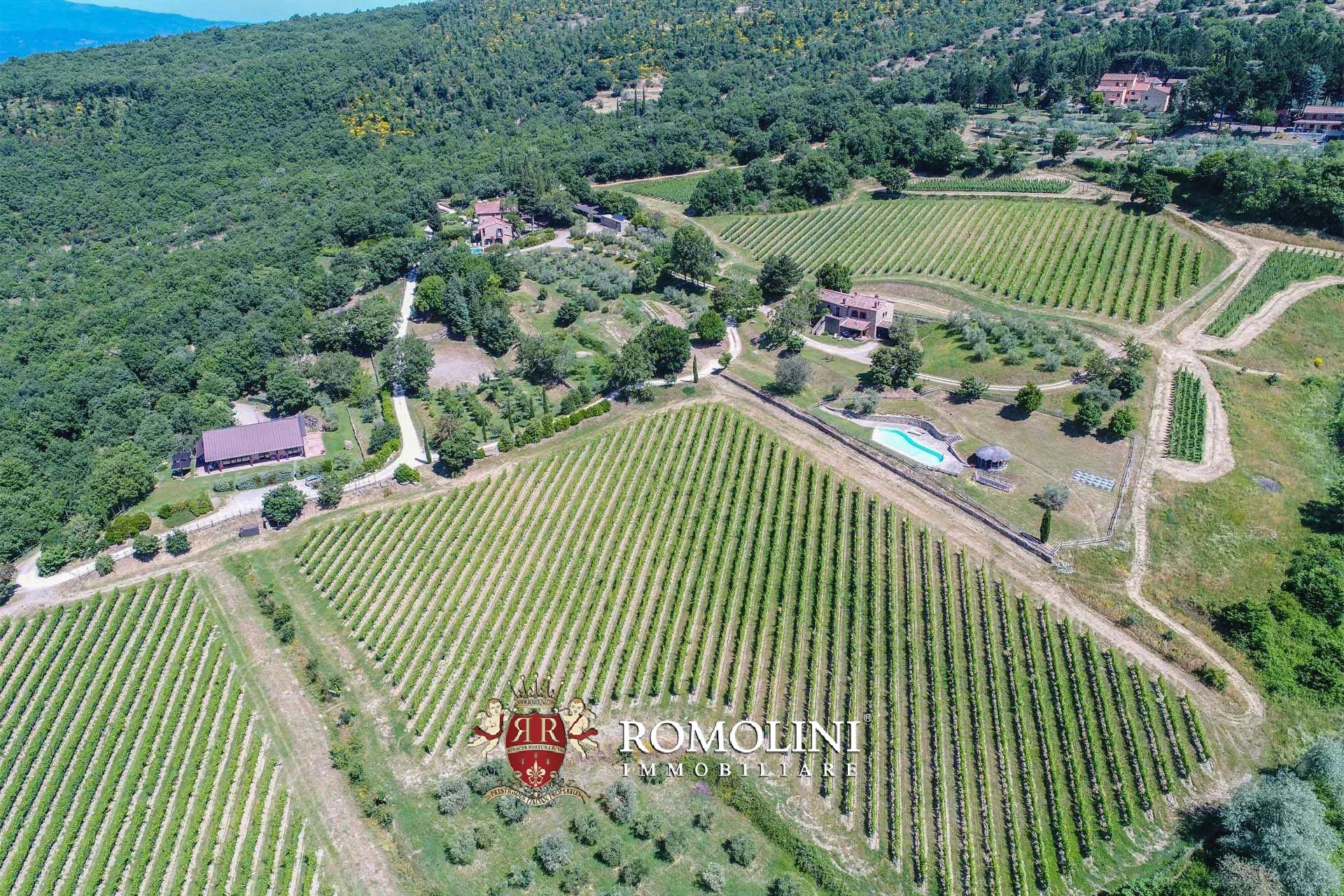 16 Bedroom Vineyard's Image 24