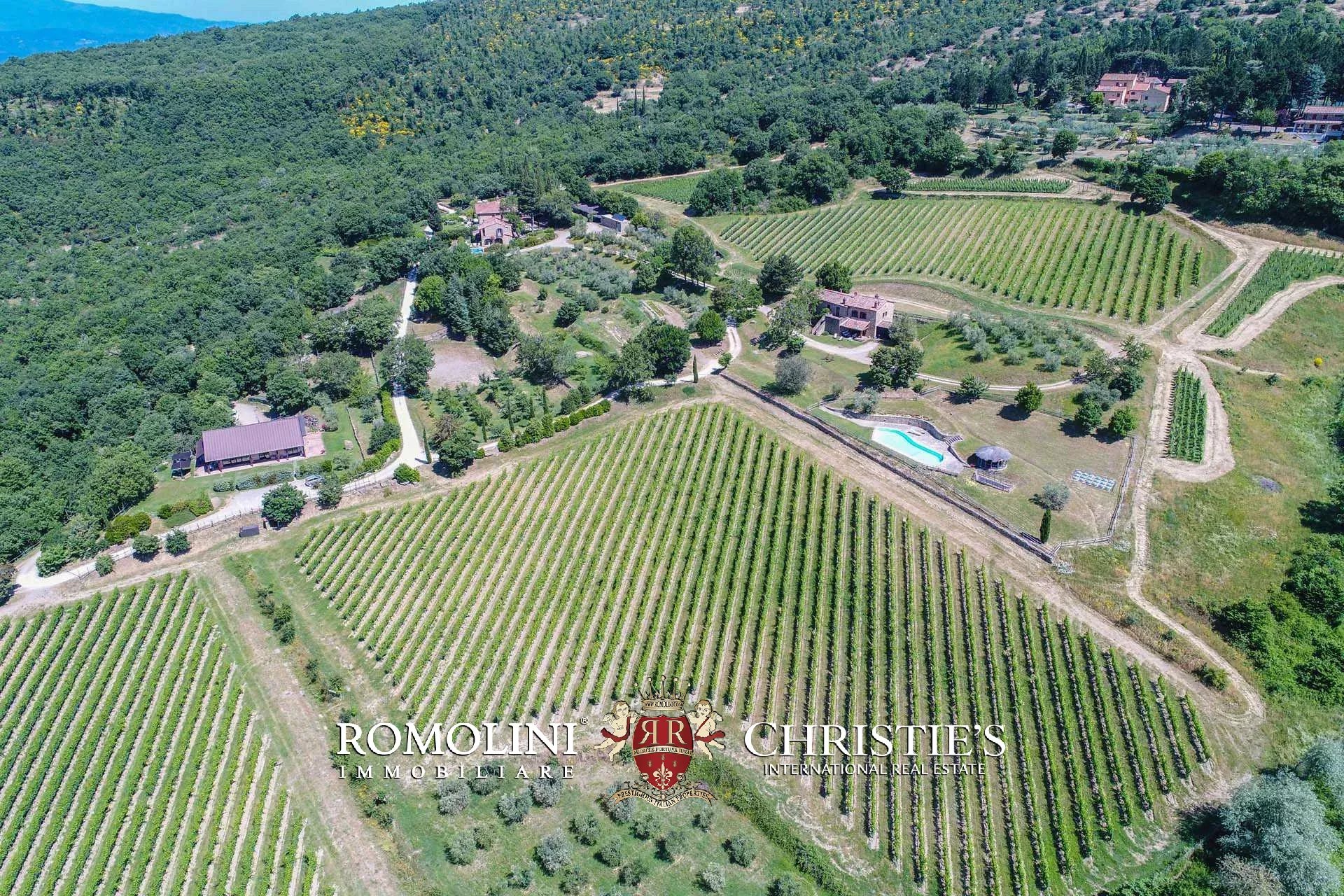 TENUTA VINICOLA BIOLOGICA IN VENDITA, CANTINA BIO TOSCANA