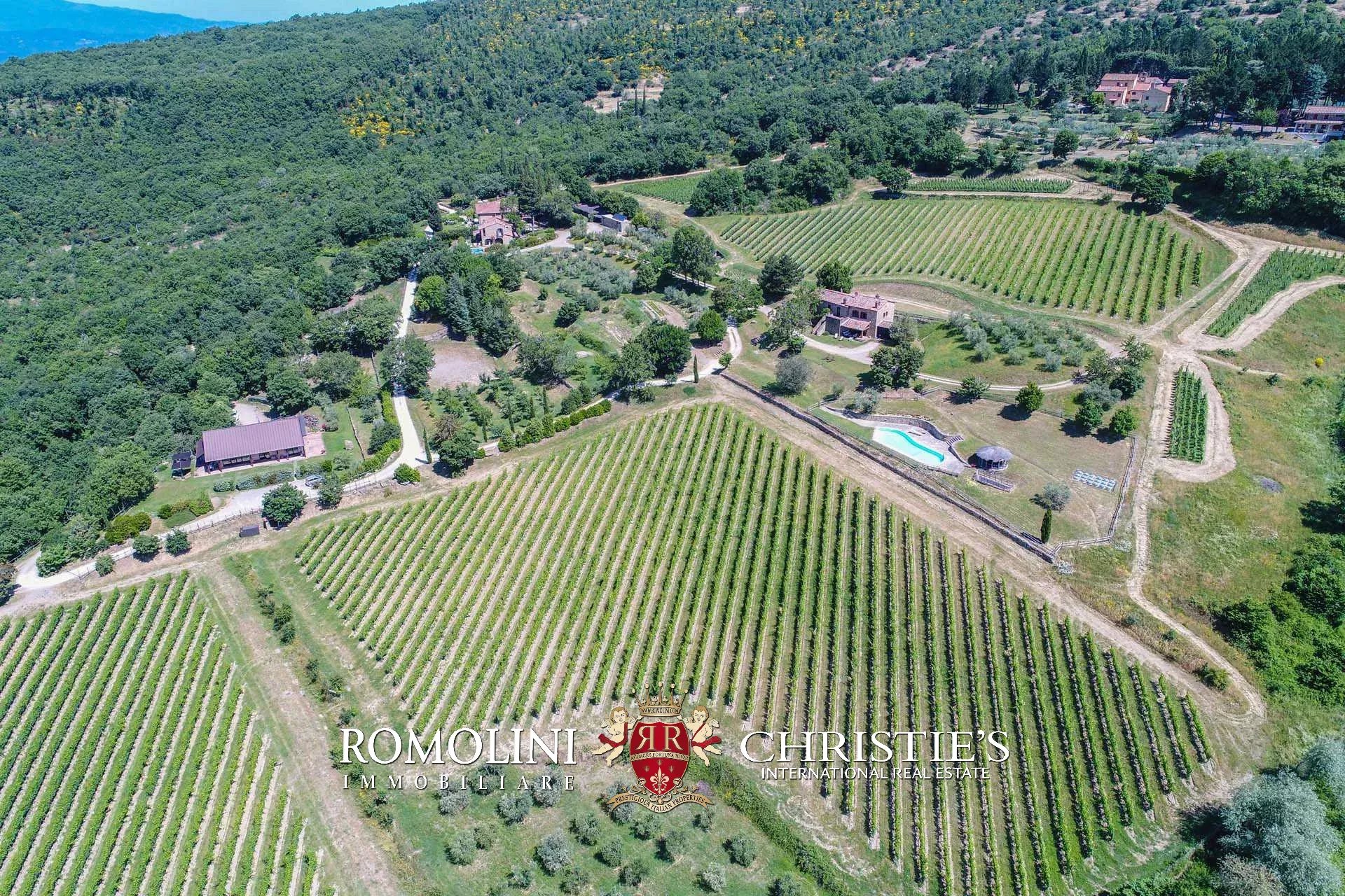 16 Bedroom Vineyard's Image 24