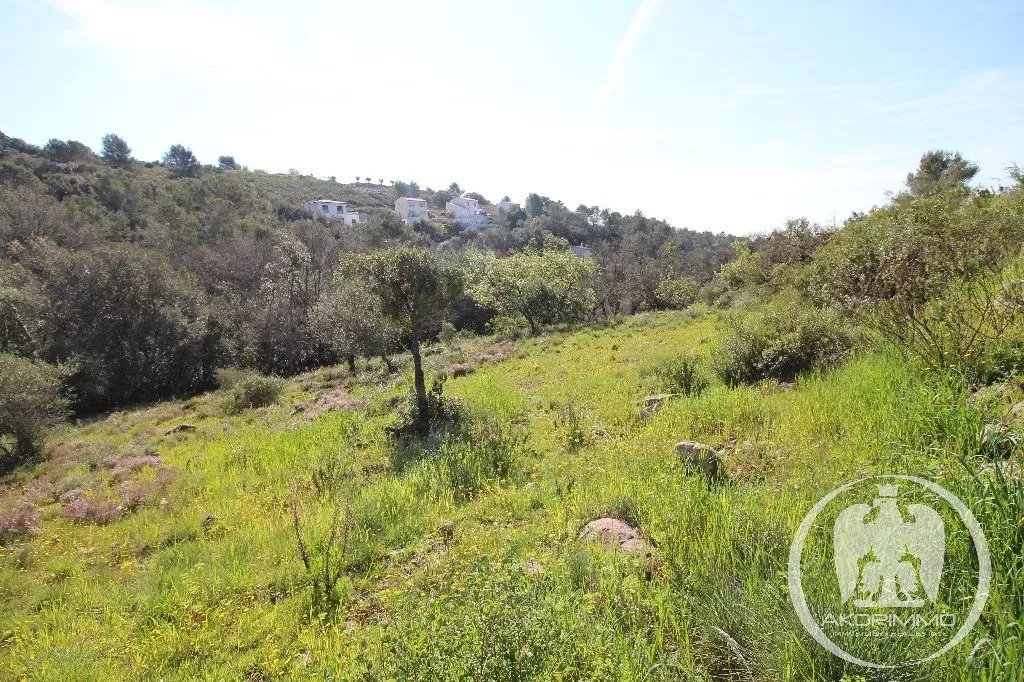 Terreno  - 7309.0 m2 -  550.000 € -