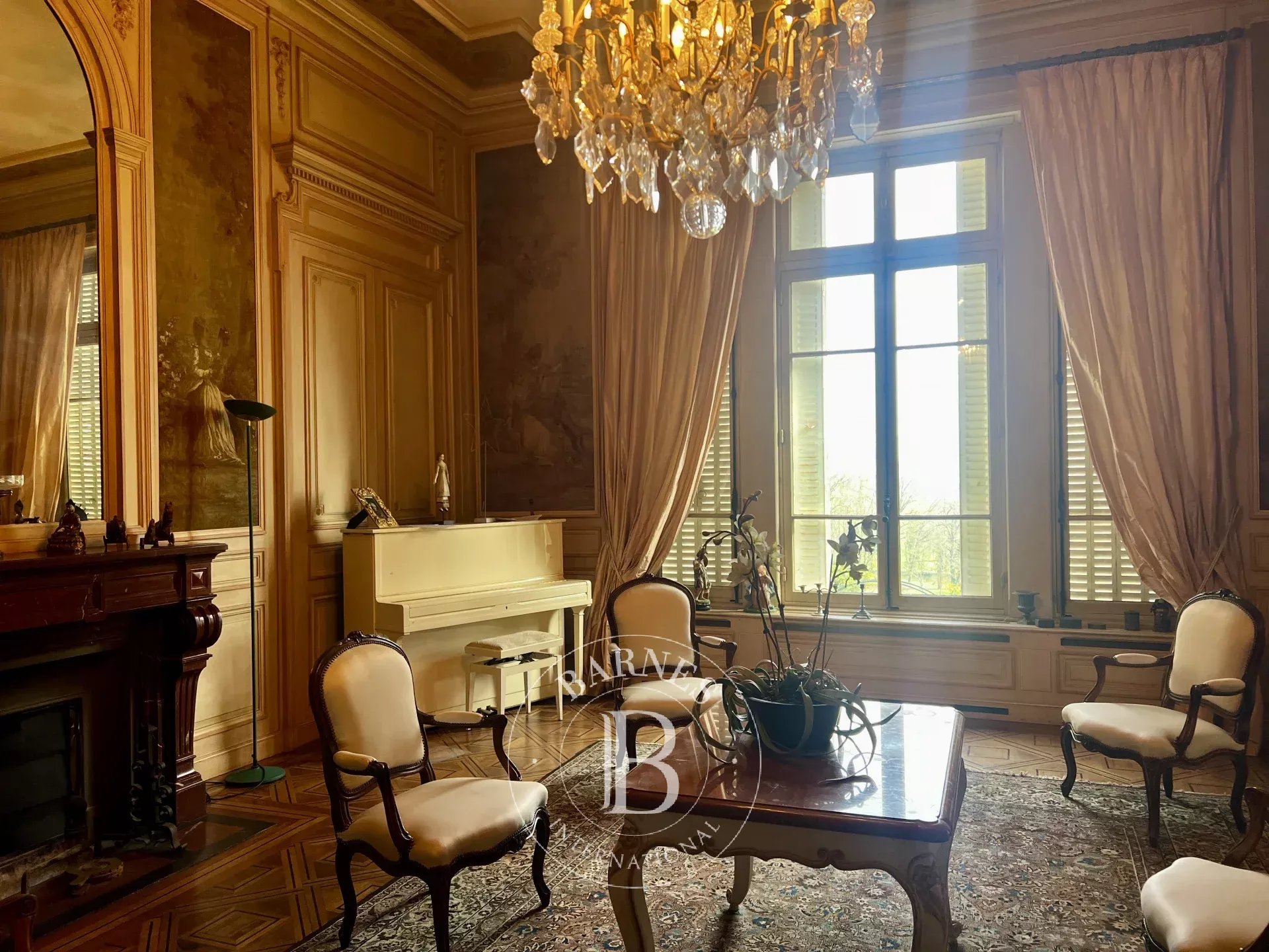 Tournus  - Château 20 Pi&egrave;ces 9 Chambres - picture 7