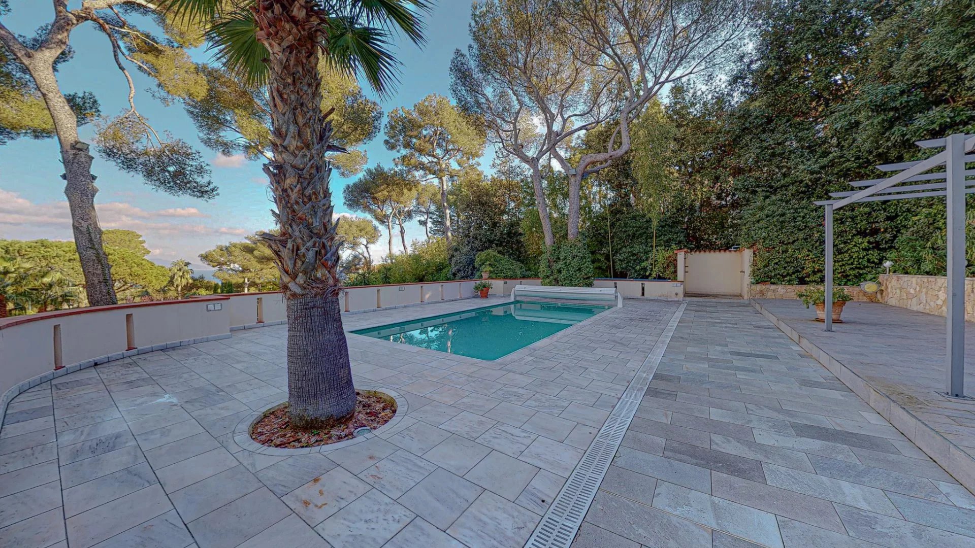 Agence immobilière de David Luxury Properties