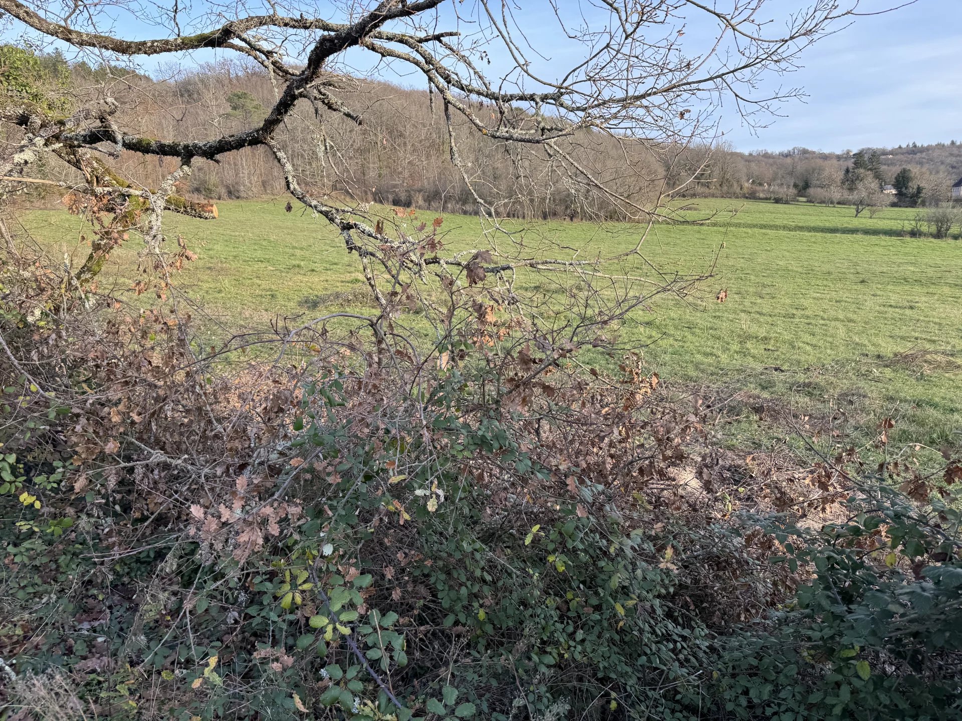 Agence immobilière de Charles Loftie Immobilier