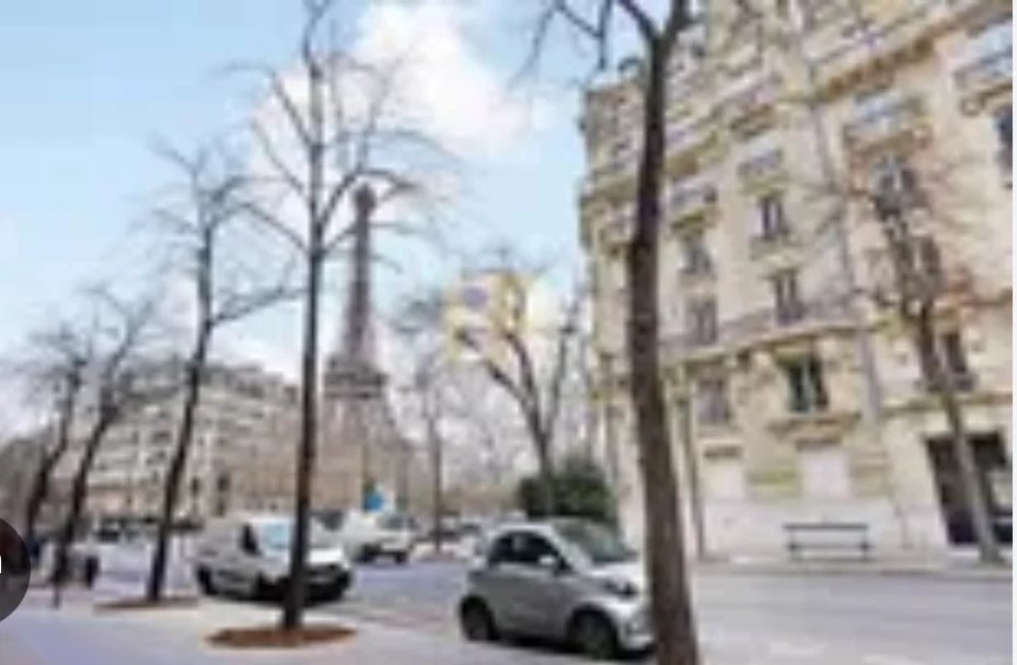 Agence immobilière de Belmont Immobilier
