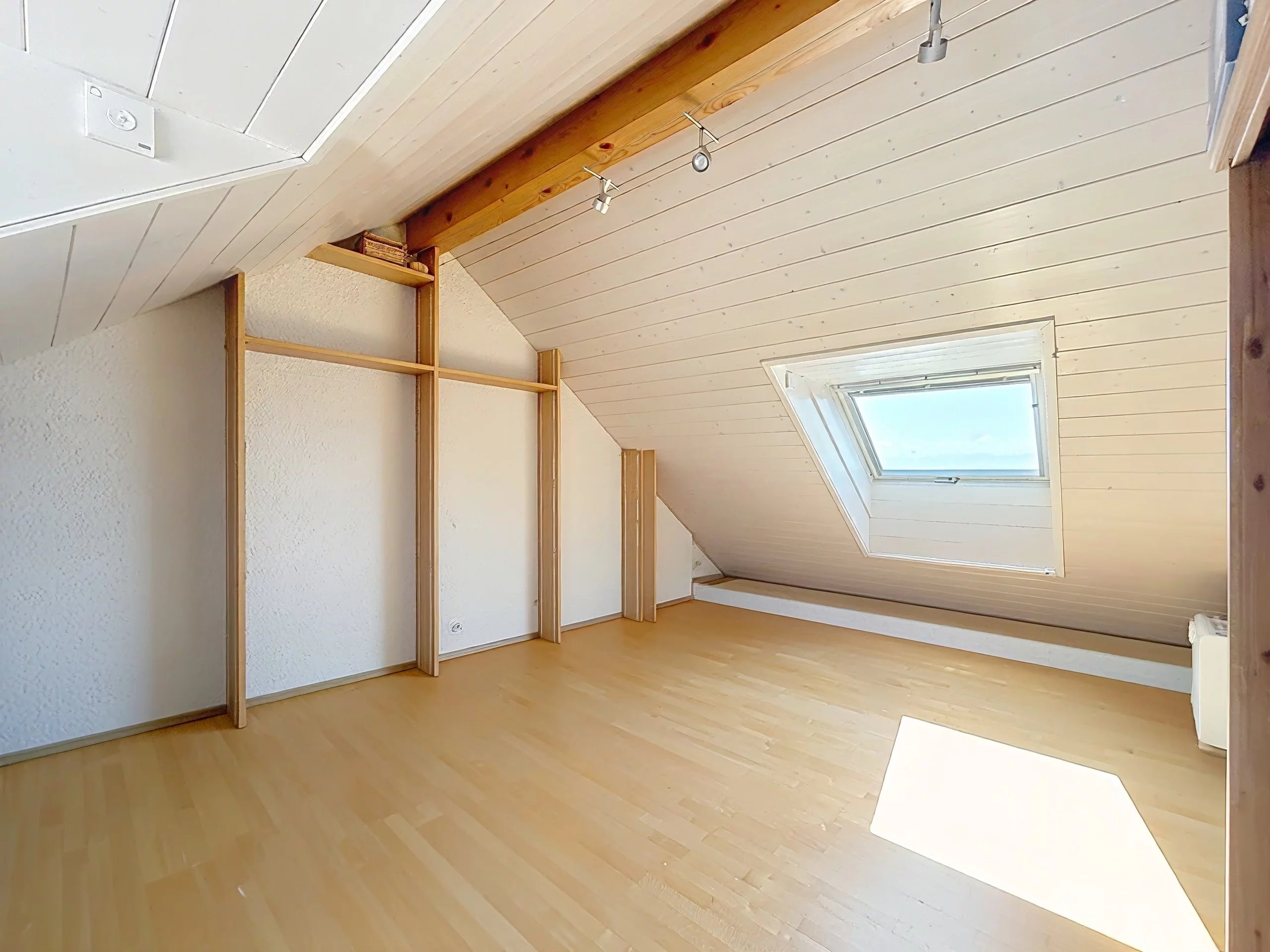 Appartement avec vue panoramique sur le lac et les alpes