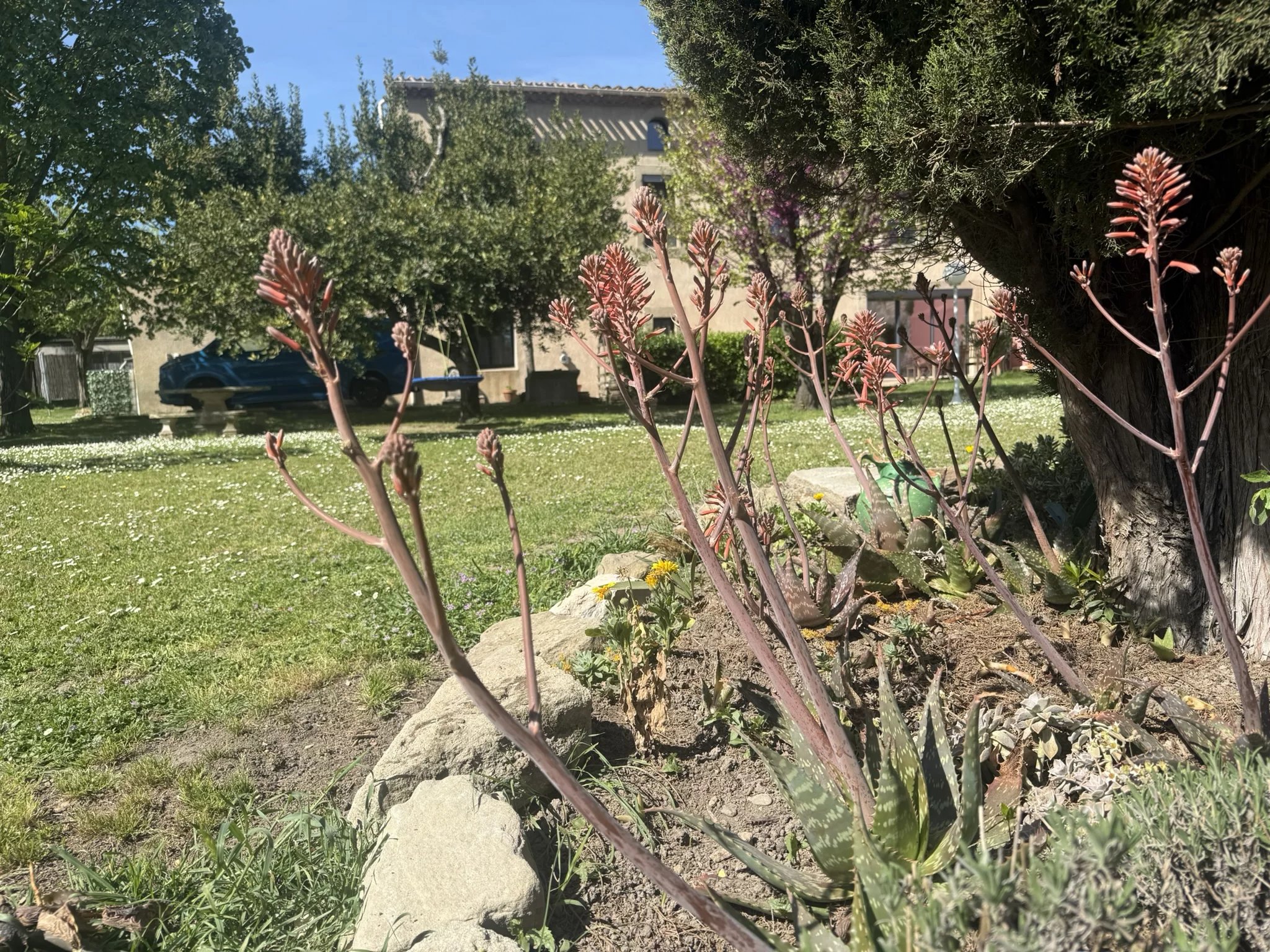 Dorpswoning te koop Carcassonne, Aude