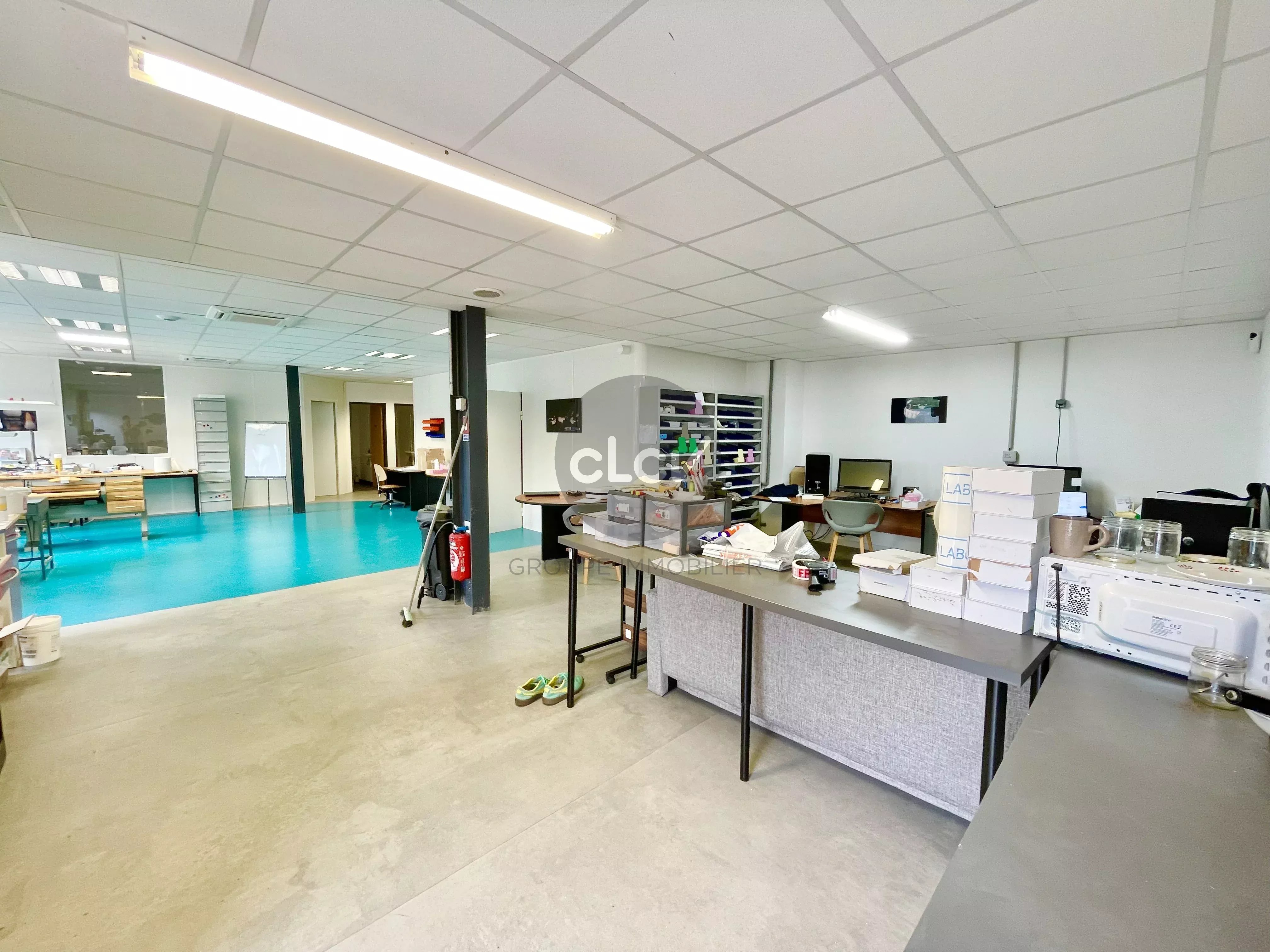 Local 133 m² 69410 CHAMPAGNE AU MONT D' OR