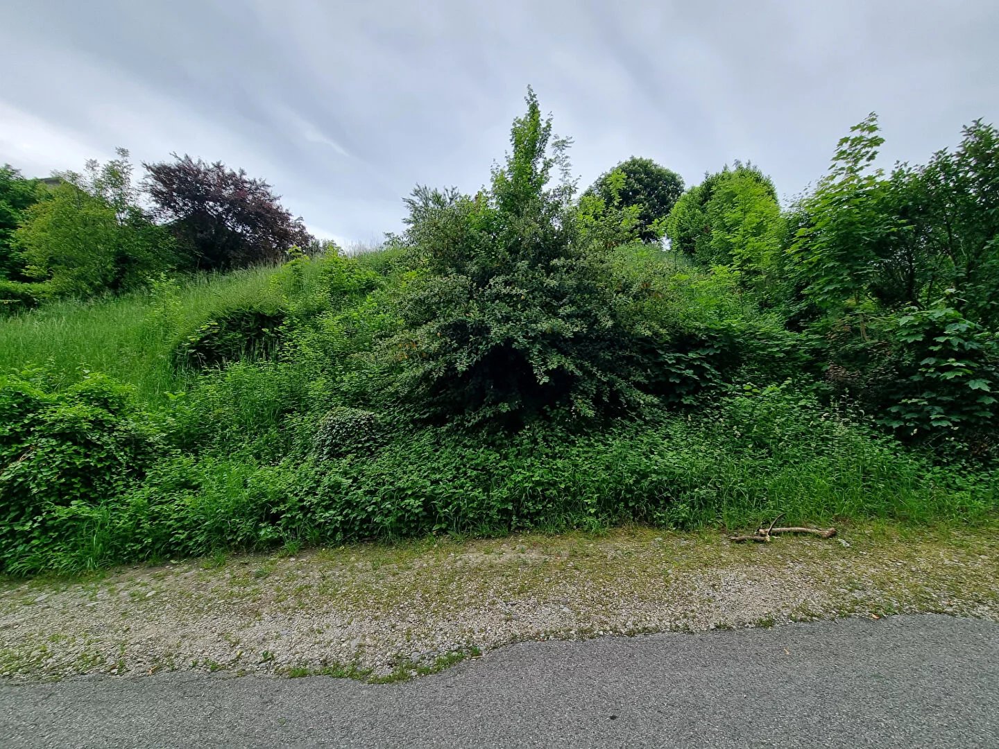 Vente Terrain Rumilly