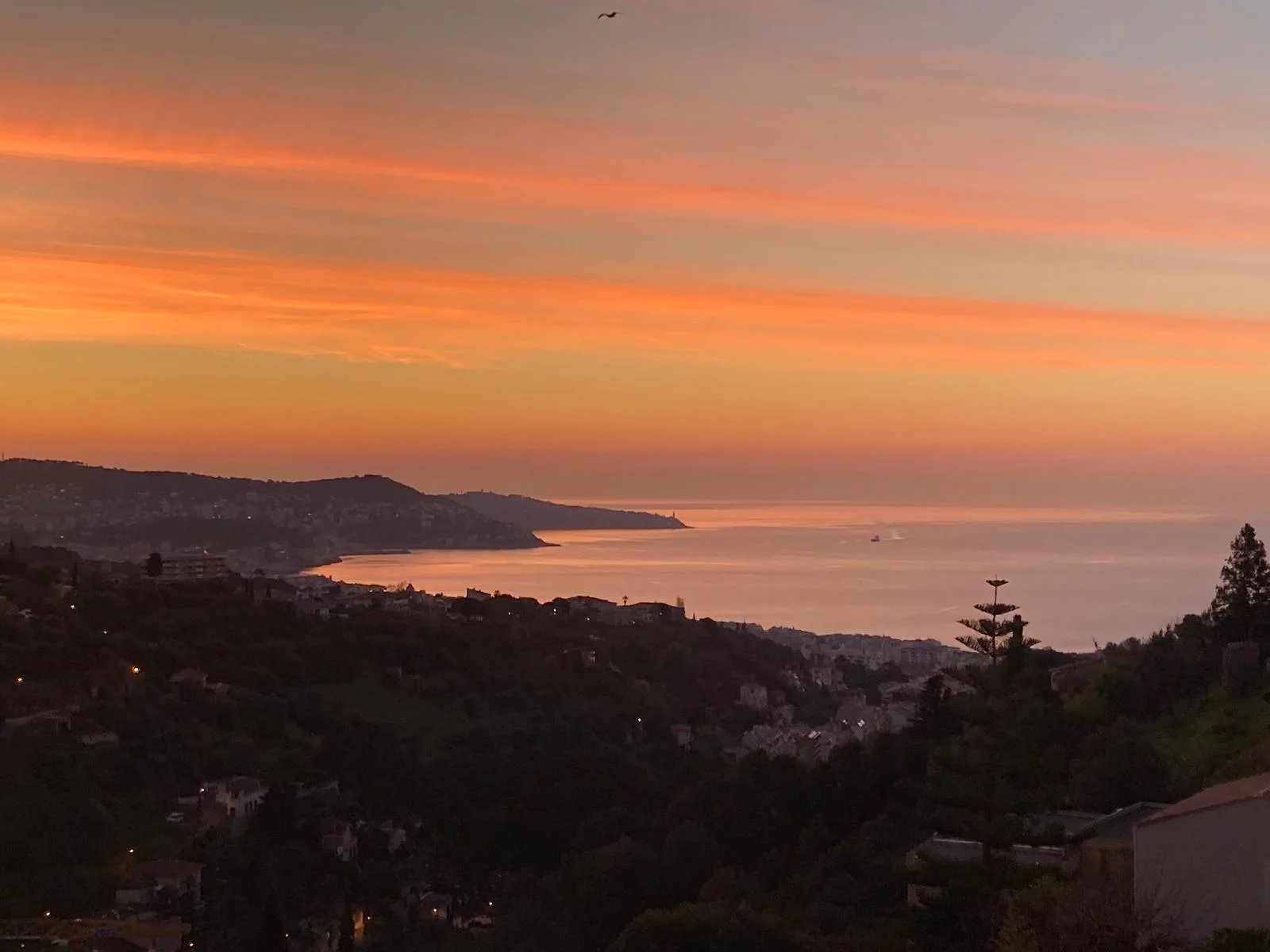 Agence immobilière de MG Consulting Group