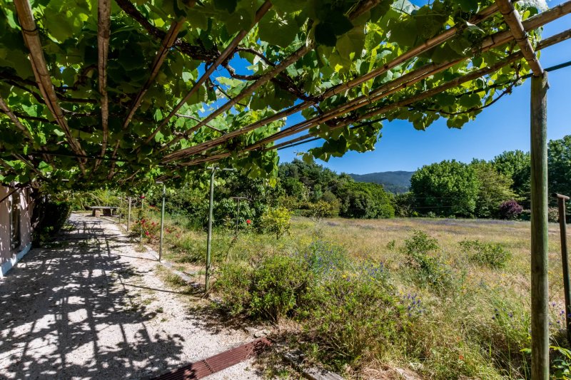 Venta, Granja Colares - picture 2