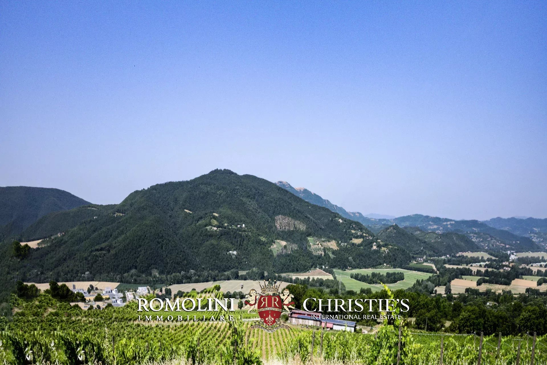 3 Bedroom Vineyard's Image 5
