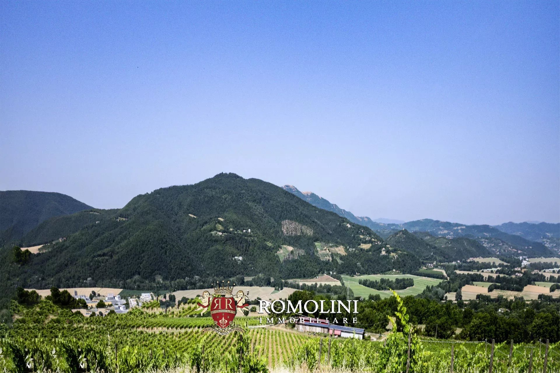 3 Bedroom Vineyard's Image 5
