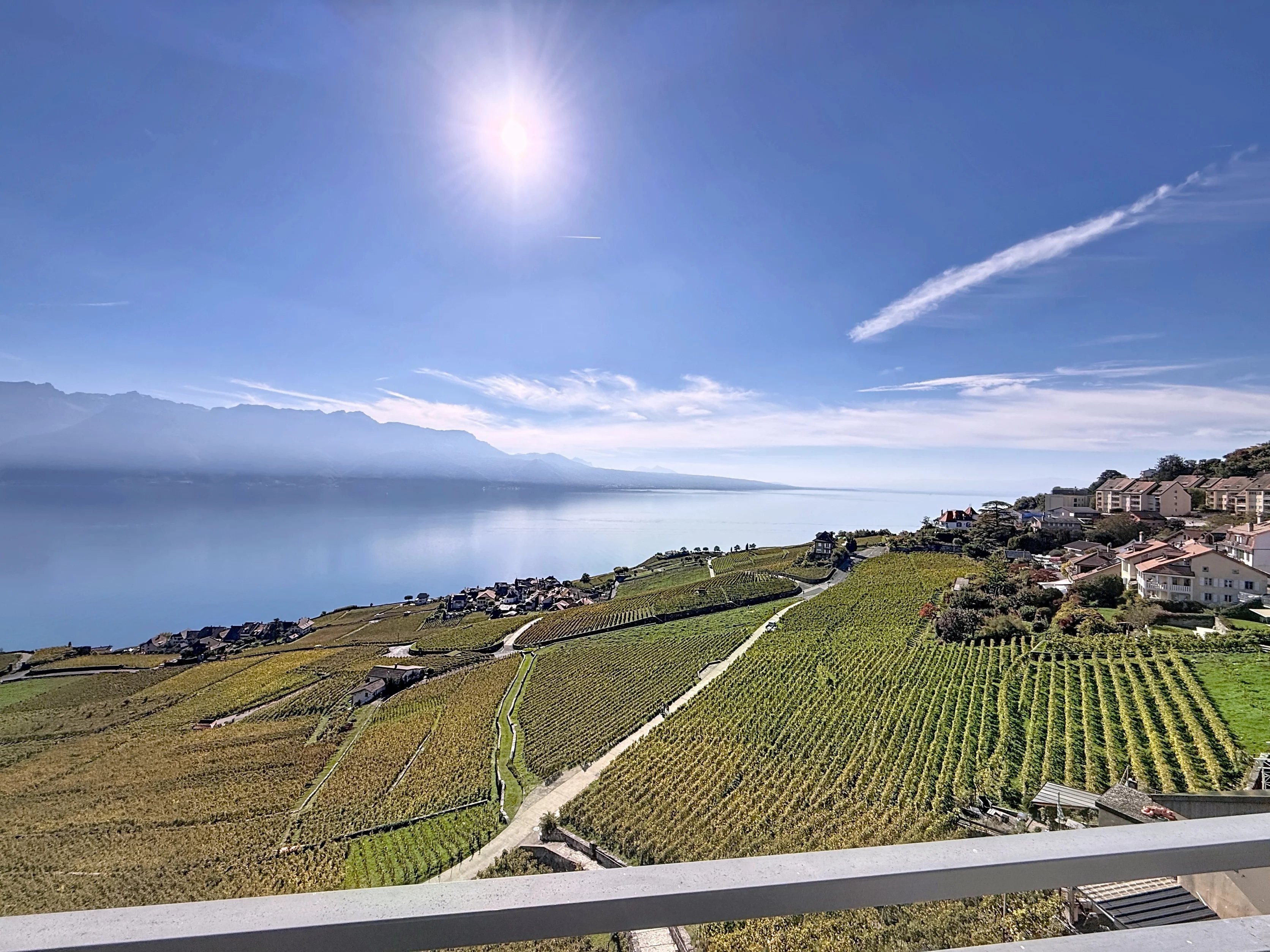 Maison villageoise avec vue inégalable sur le Lavaux et le Léman !