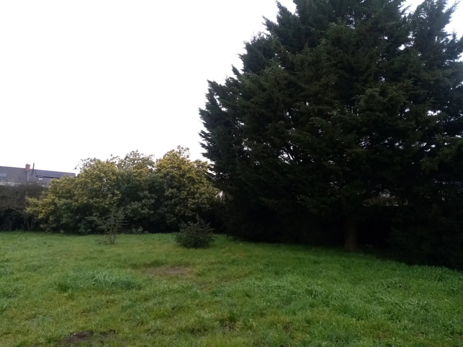 Vente Terrain Montjean-sur-Loire