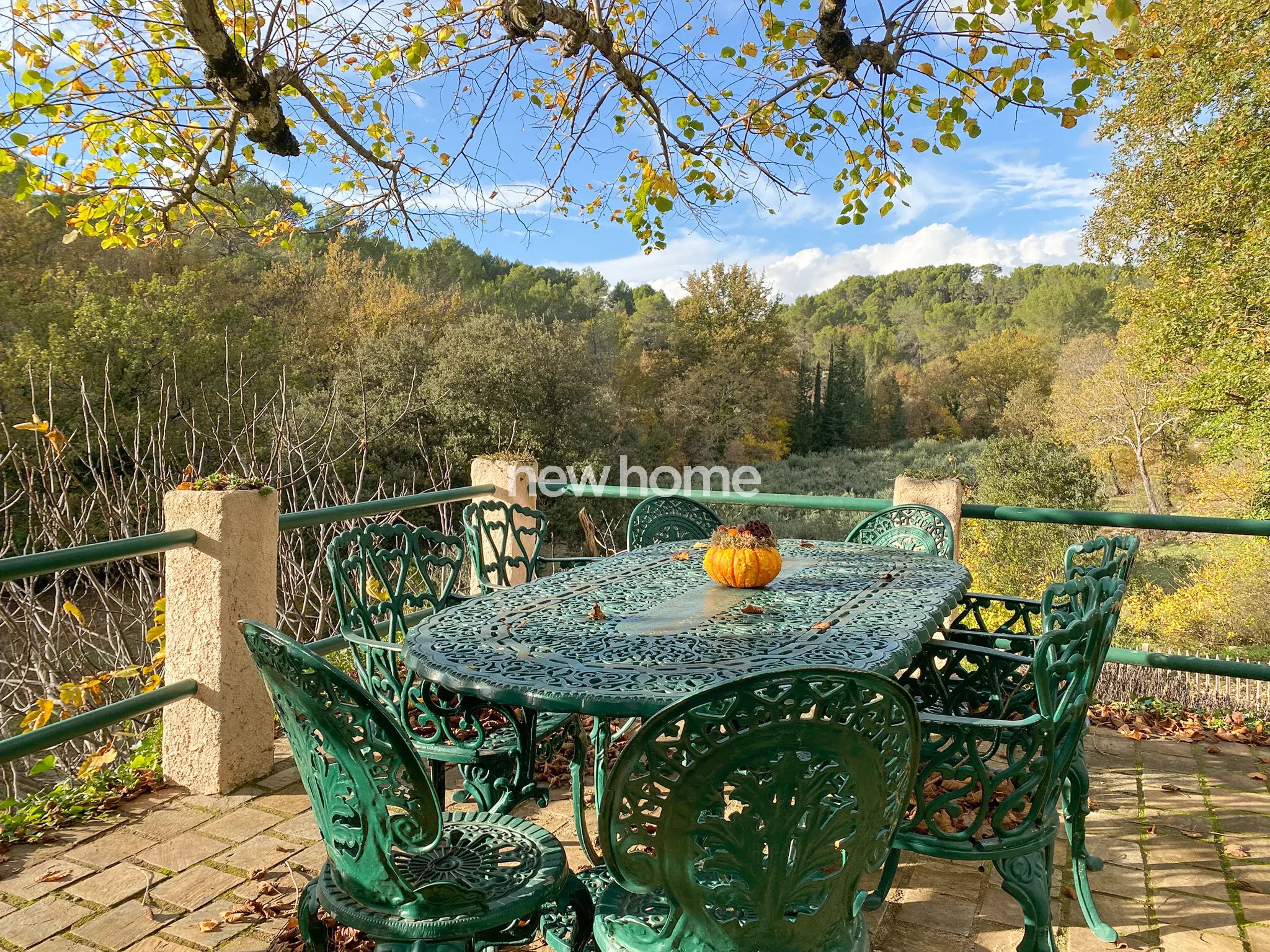 Belle propriété avec des oliviers et gîte indépendant