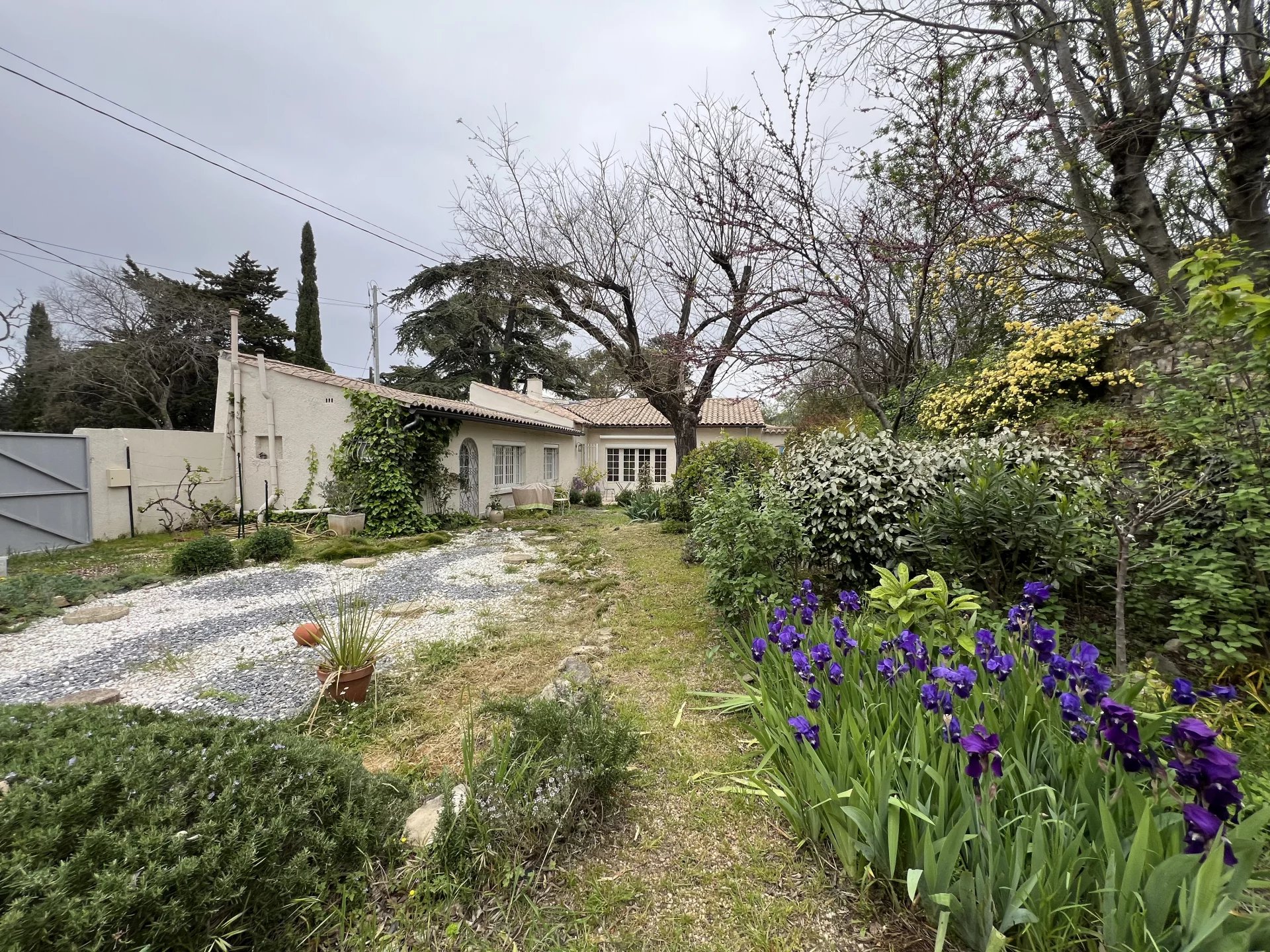 Agence immobilière de 