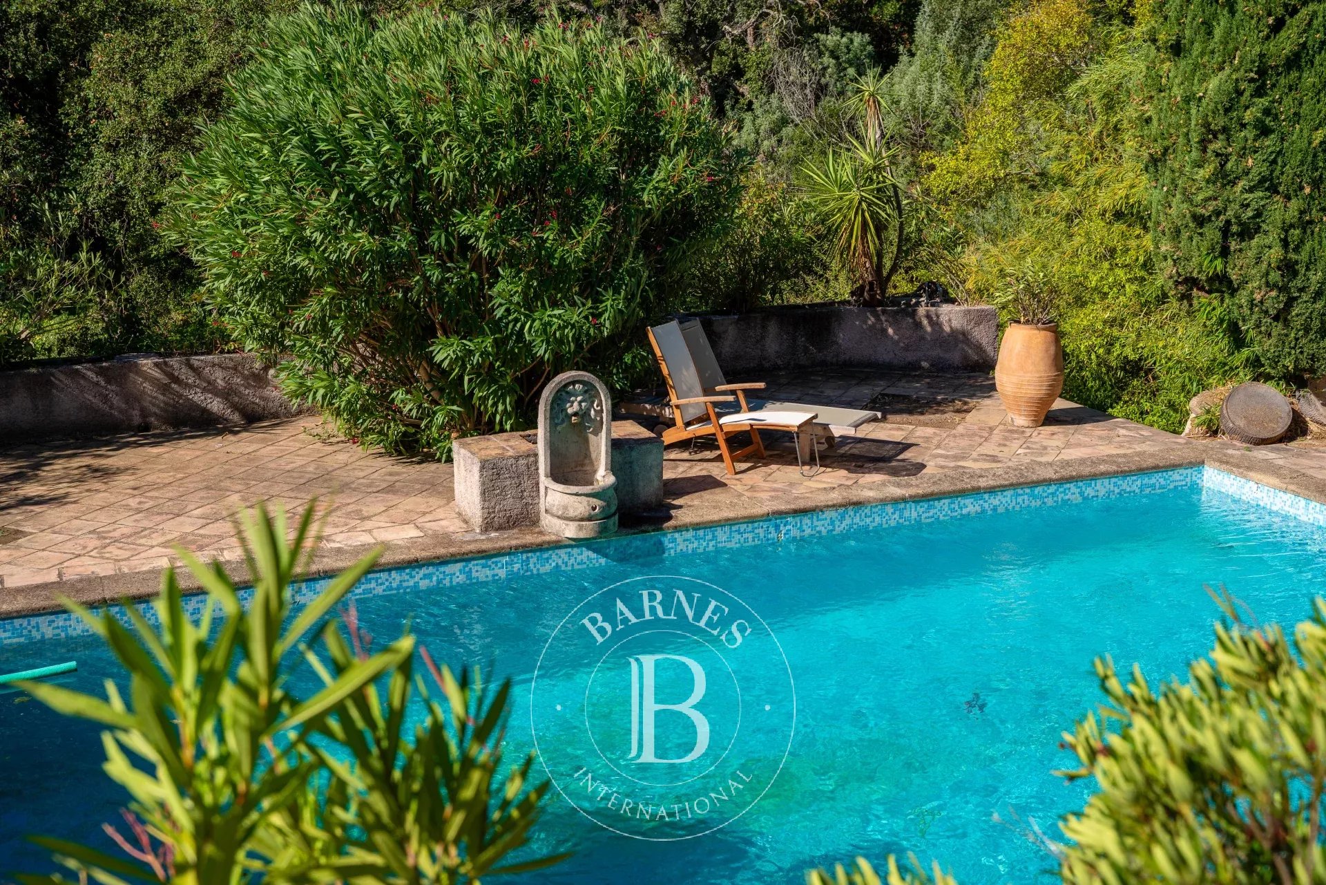 Ev Grimaud - picture 9