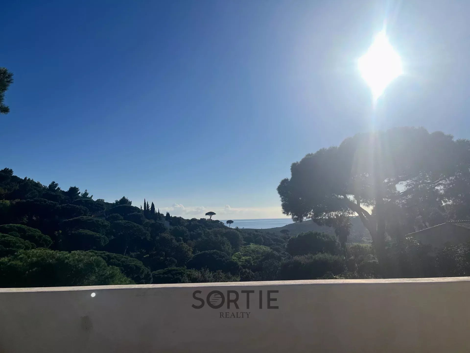 Agence immobilière de Sortie Realty