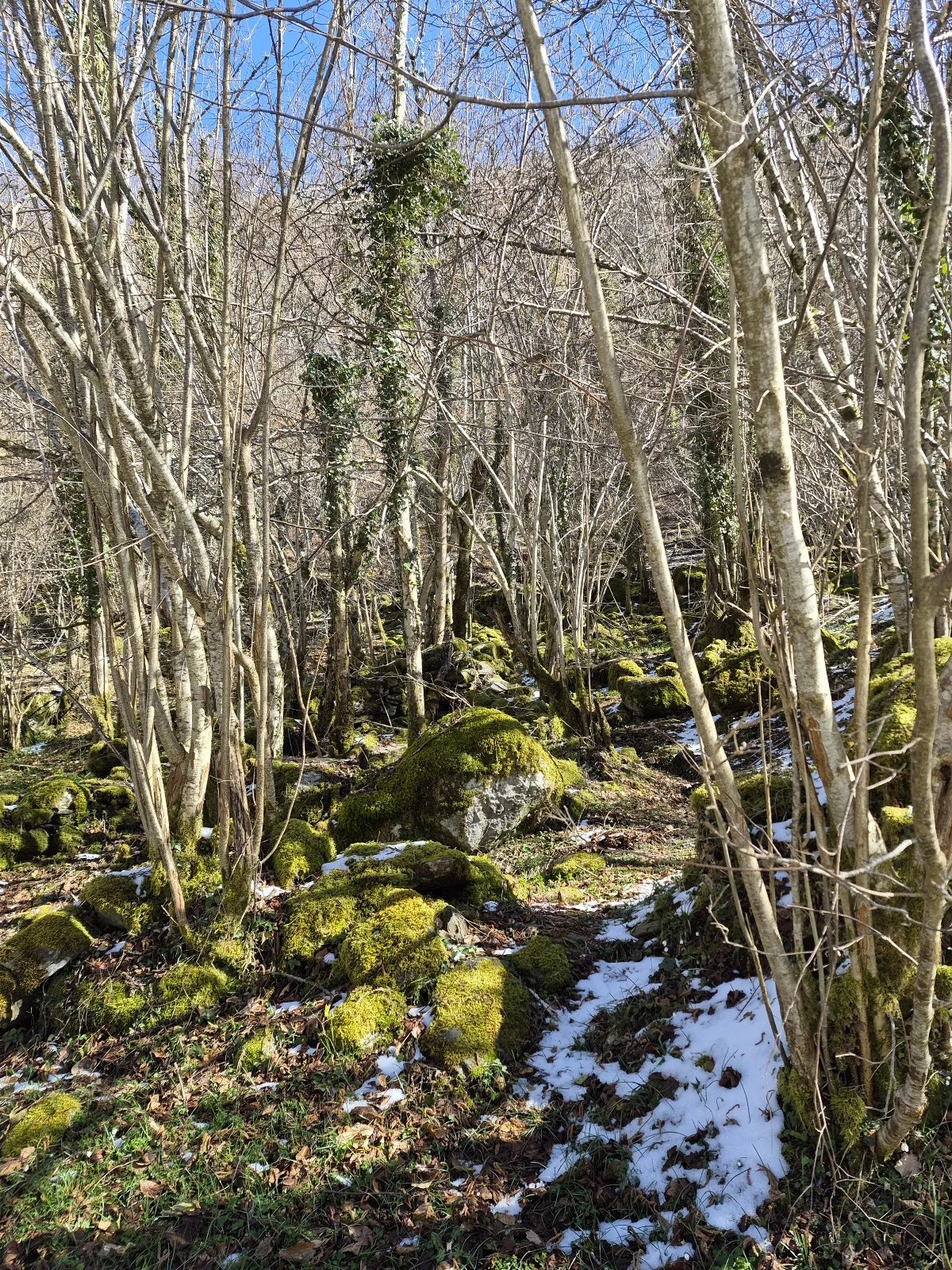 Grange à vendre Le Port, Ariège
