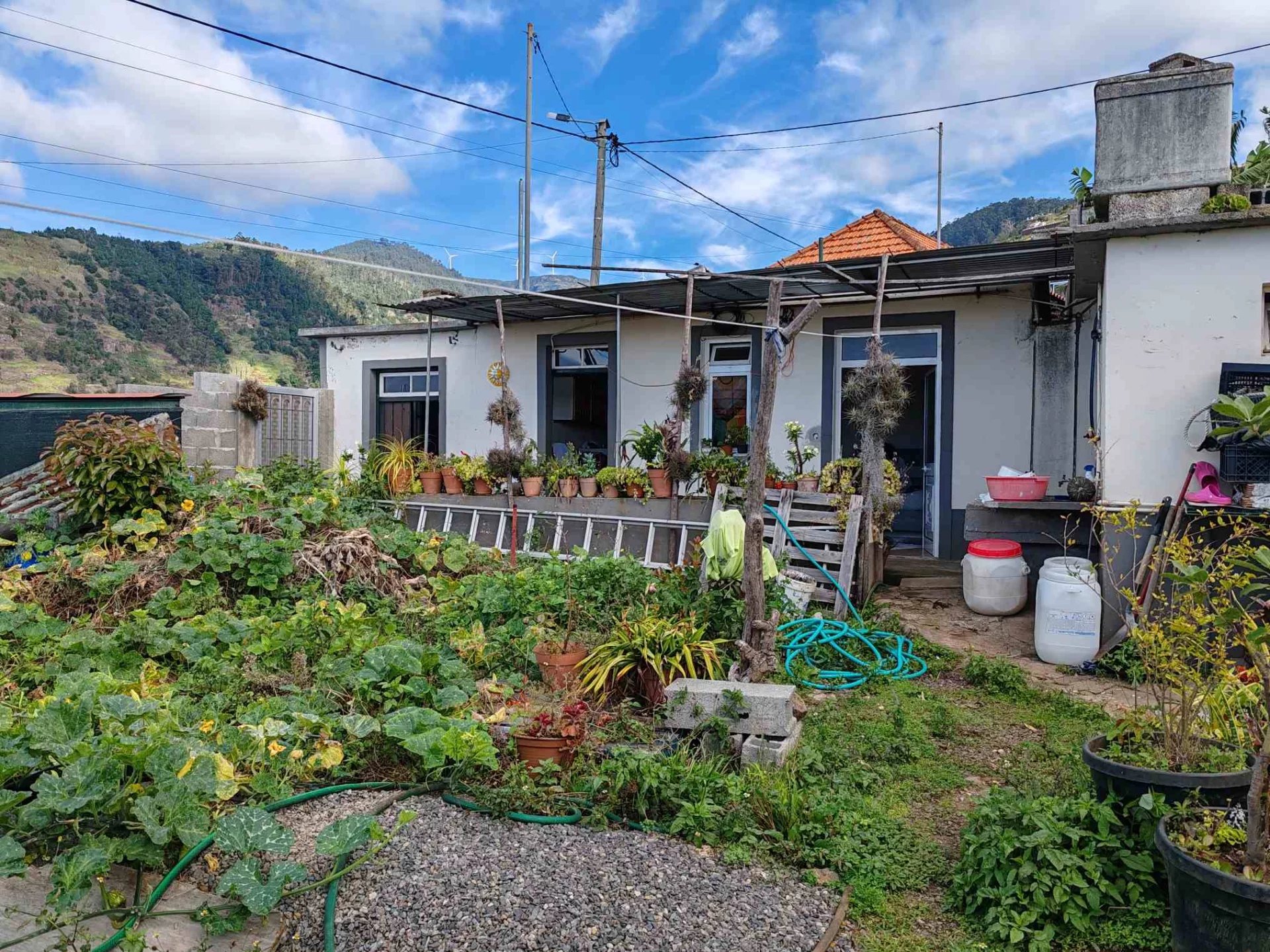 Maison traditionnelle avec jardin et parking attenants à Ponta do Sol