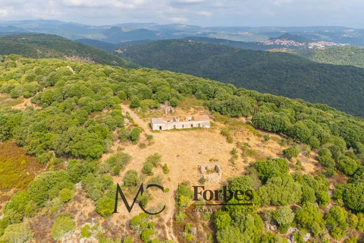 Land in Luras - Image 5