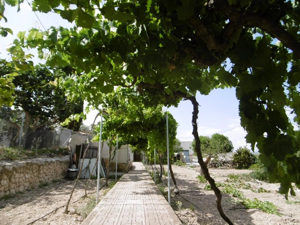 Vente Villa Yecla