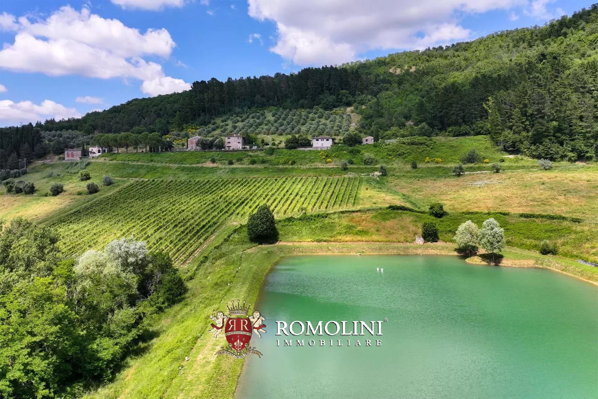 34 Bedroom Vineyard's Image 11