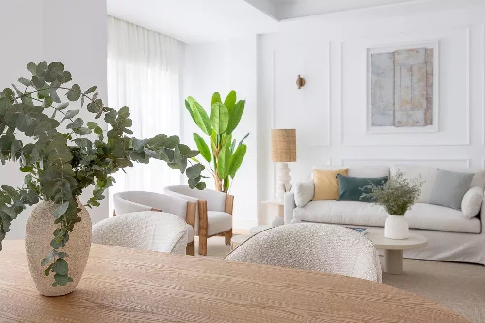 Fully Renovated Apartment in the Heart of Salamanca - picture 11
