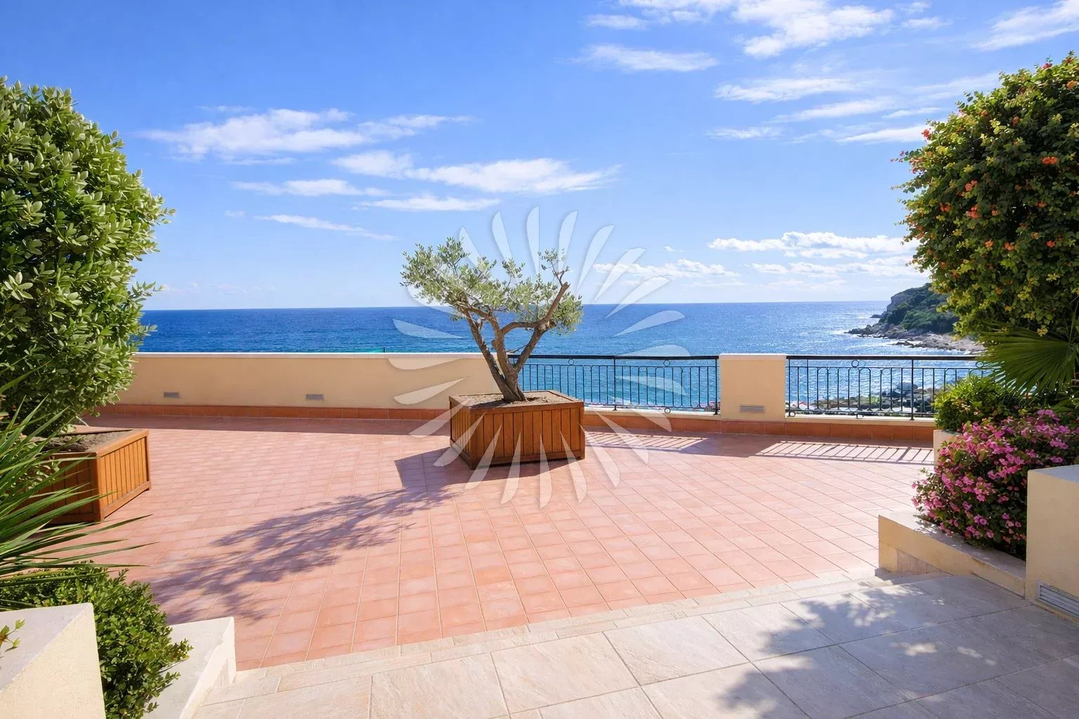 Memmo Center - Fontvieille