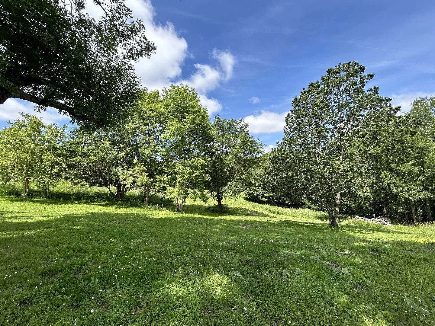 Maison à vendre Belvèze-du-Razès, Aude