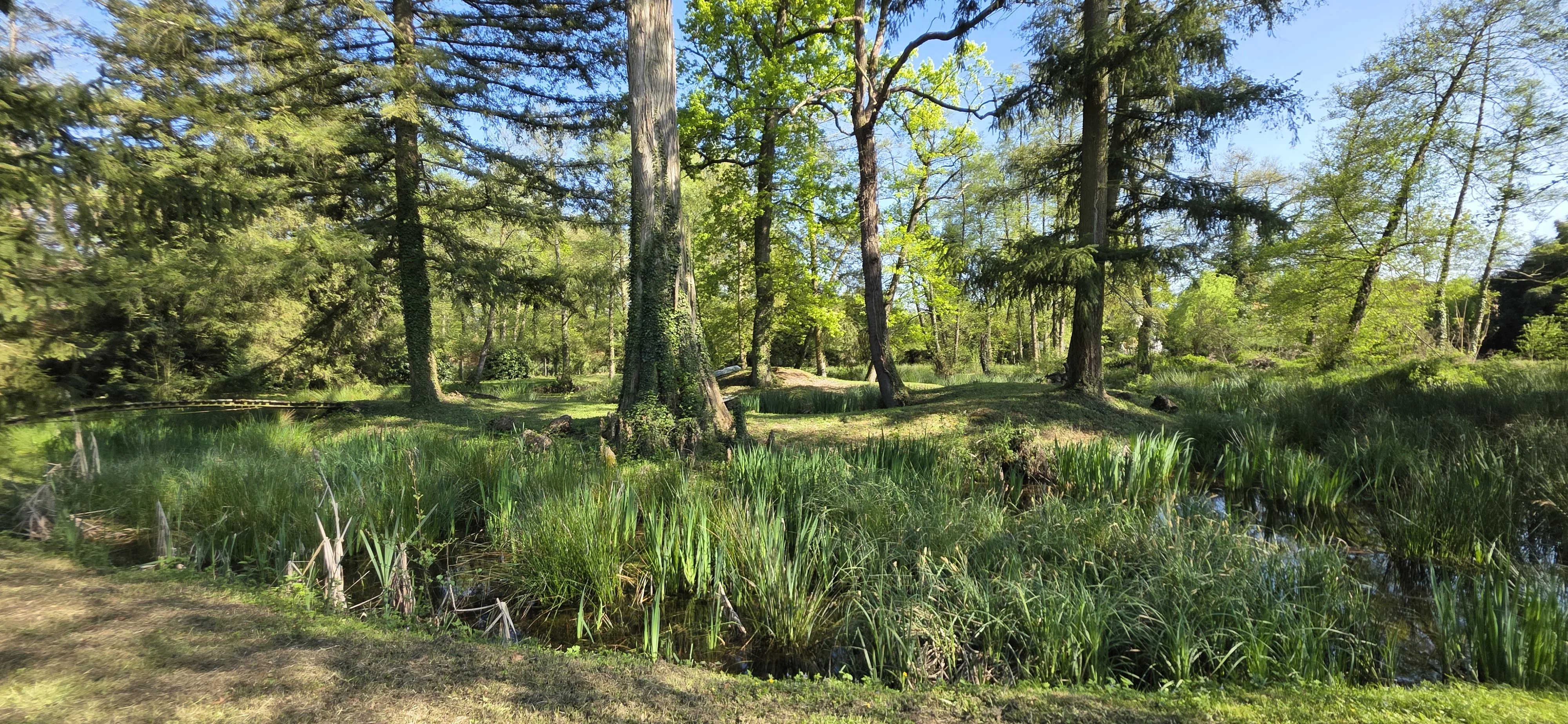 Un Havre de paix entre eau et nature : Longère  de 125 m2 habitables sur 8 600 m² de terrain entièrement clôtu — photo 13